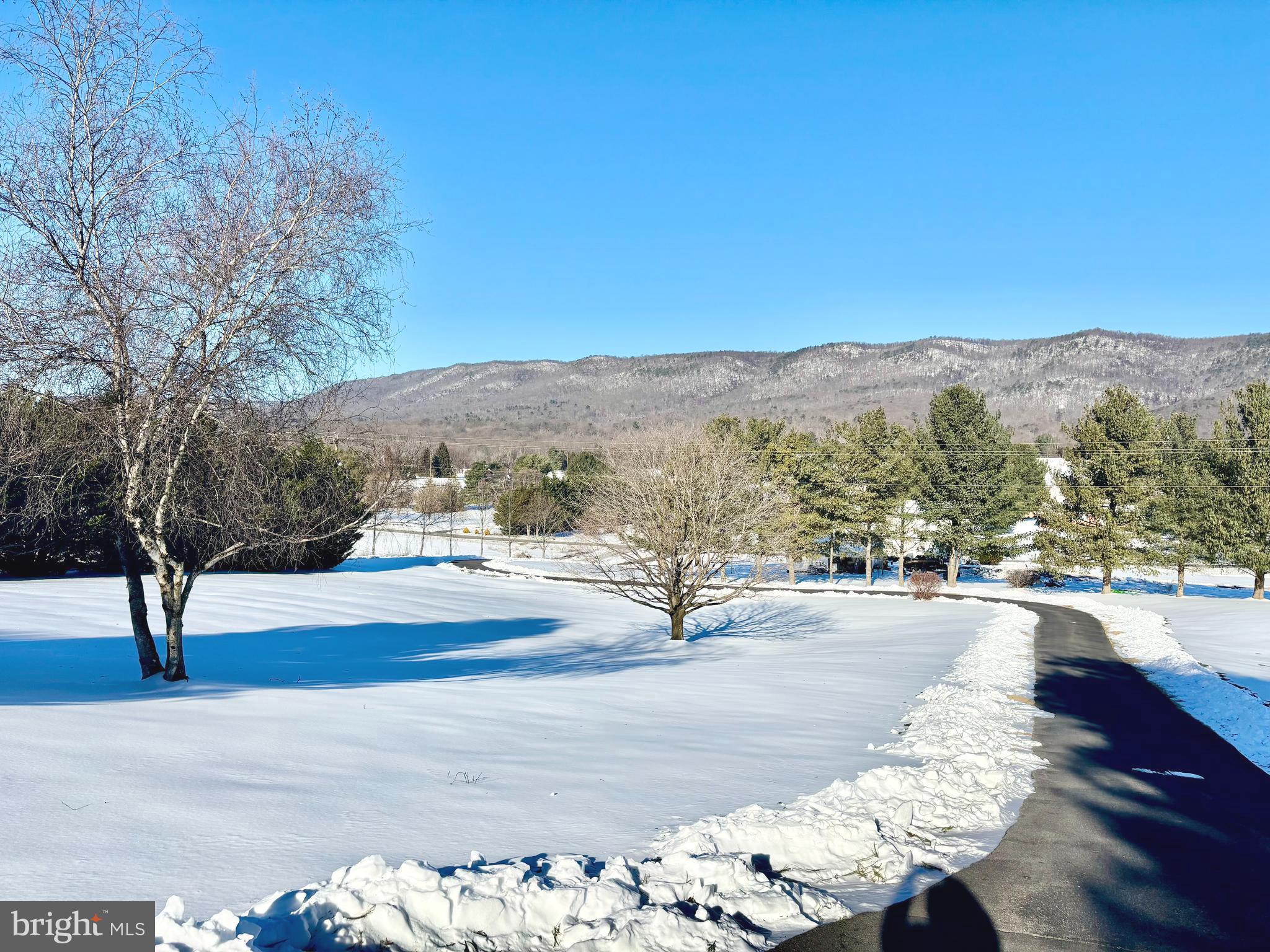 8284 Back Road Maurertown, VA 22644 - Photo 53 of 54 a view of a street with view of city