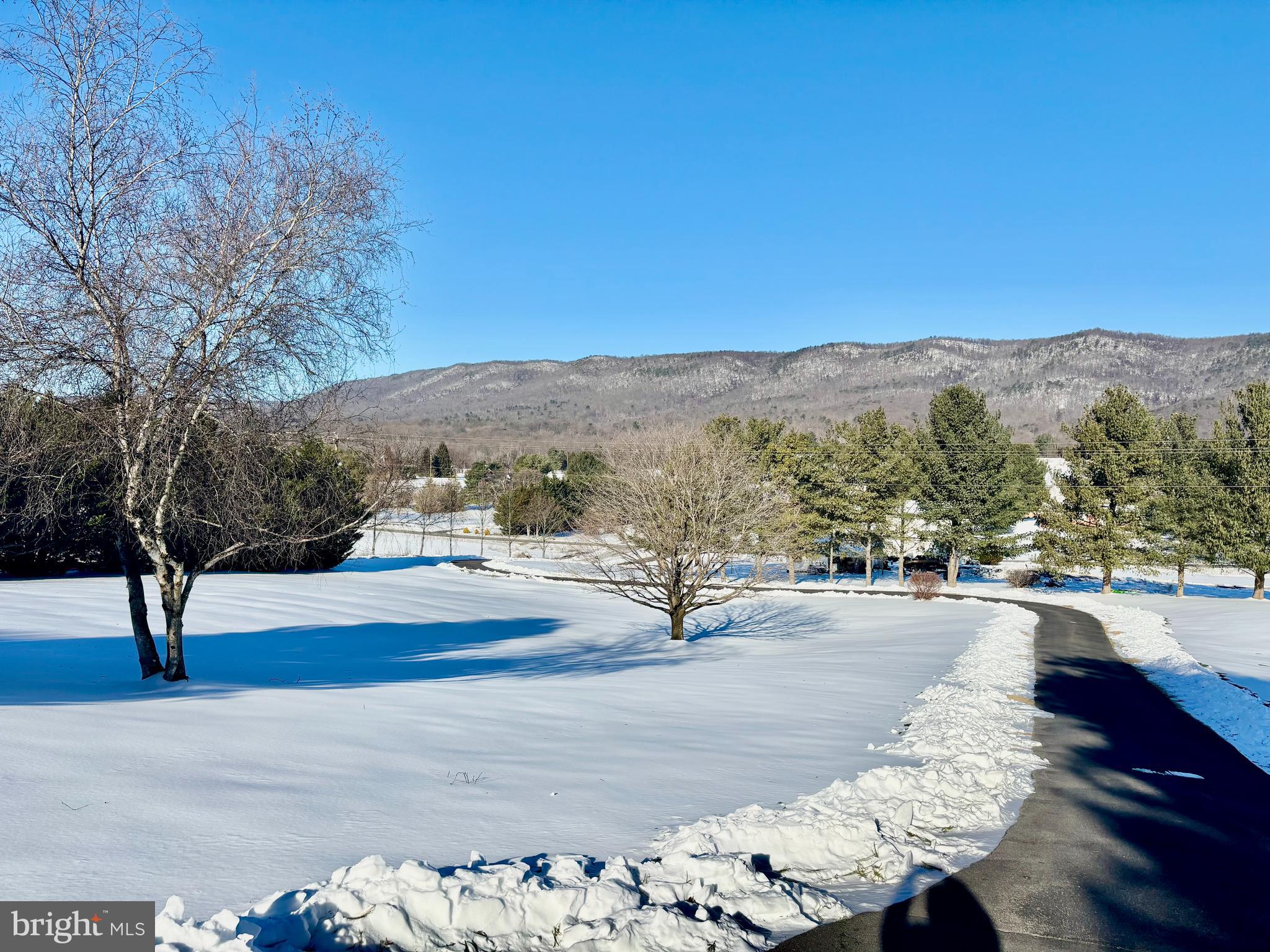 8284 Back Road Maurertown, VA 22644 - Photo 7 of 8 Snow topped mountains