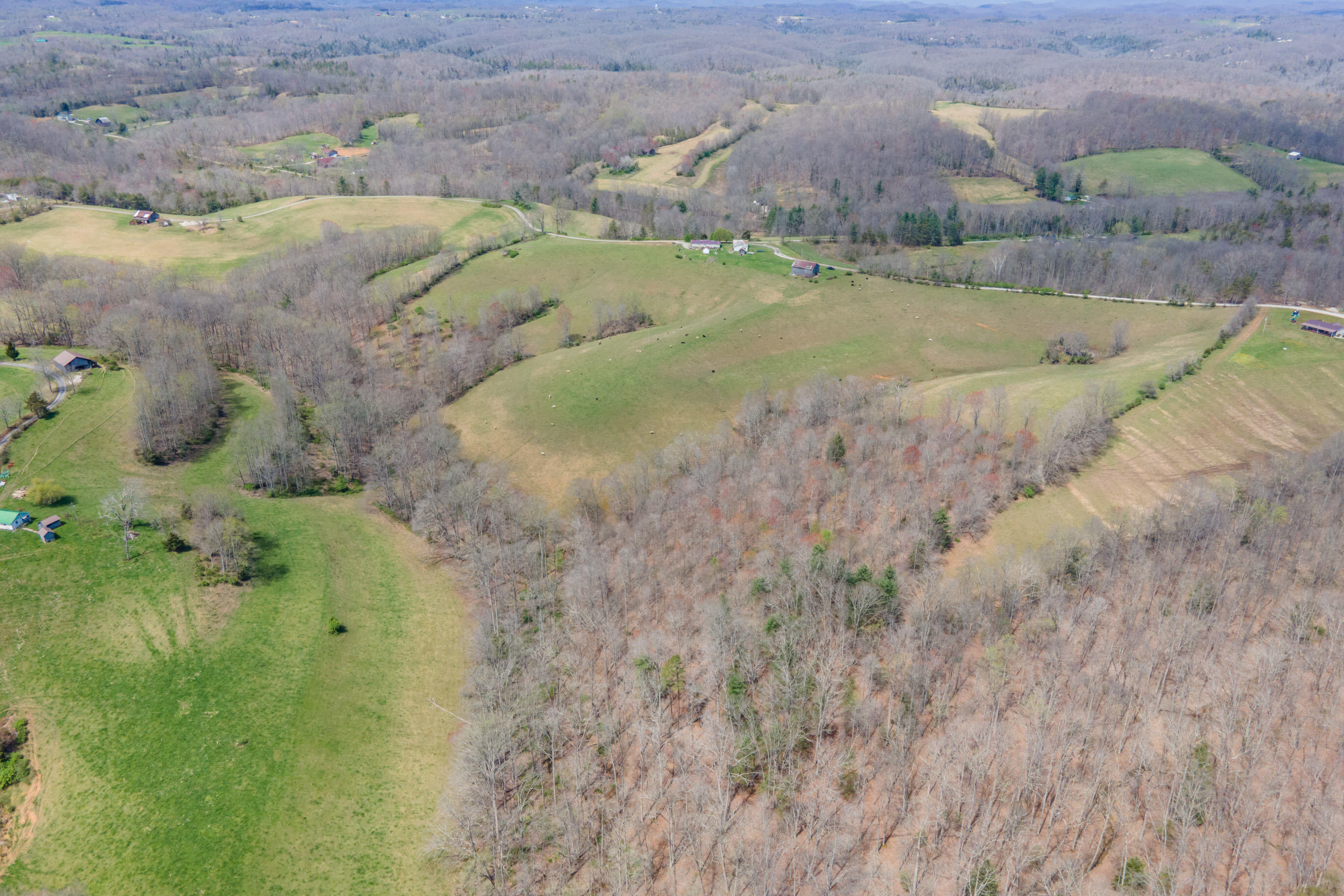 1211 Ebon Road Wellington, KY 40387 - Photo 5 of 8 20220414-35-Whites-Branch-Rd-davis-drone
