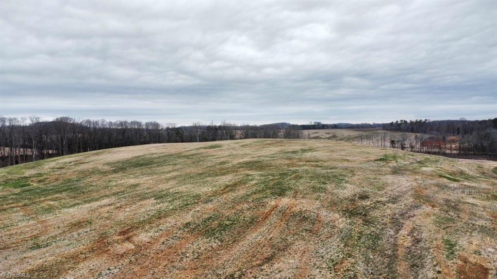 6828 New Hope Road Denton, NC 27239 - Photo 2 of 9 Gallery Image 2