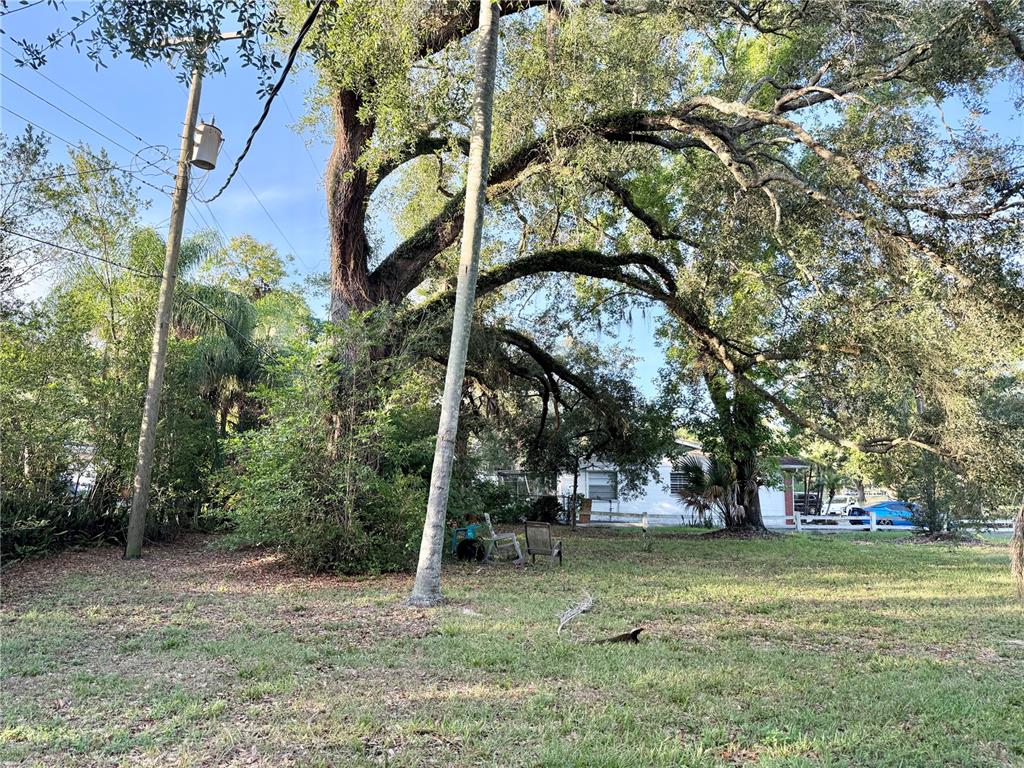 304 Springdale Place Temple Terrace, FL 33617 - Photo 5 of 7