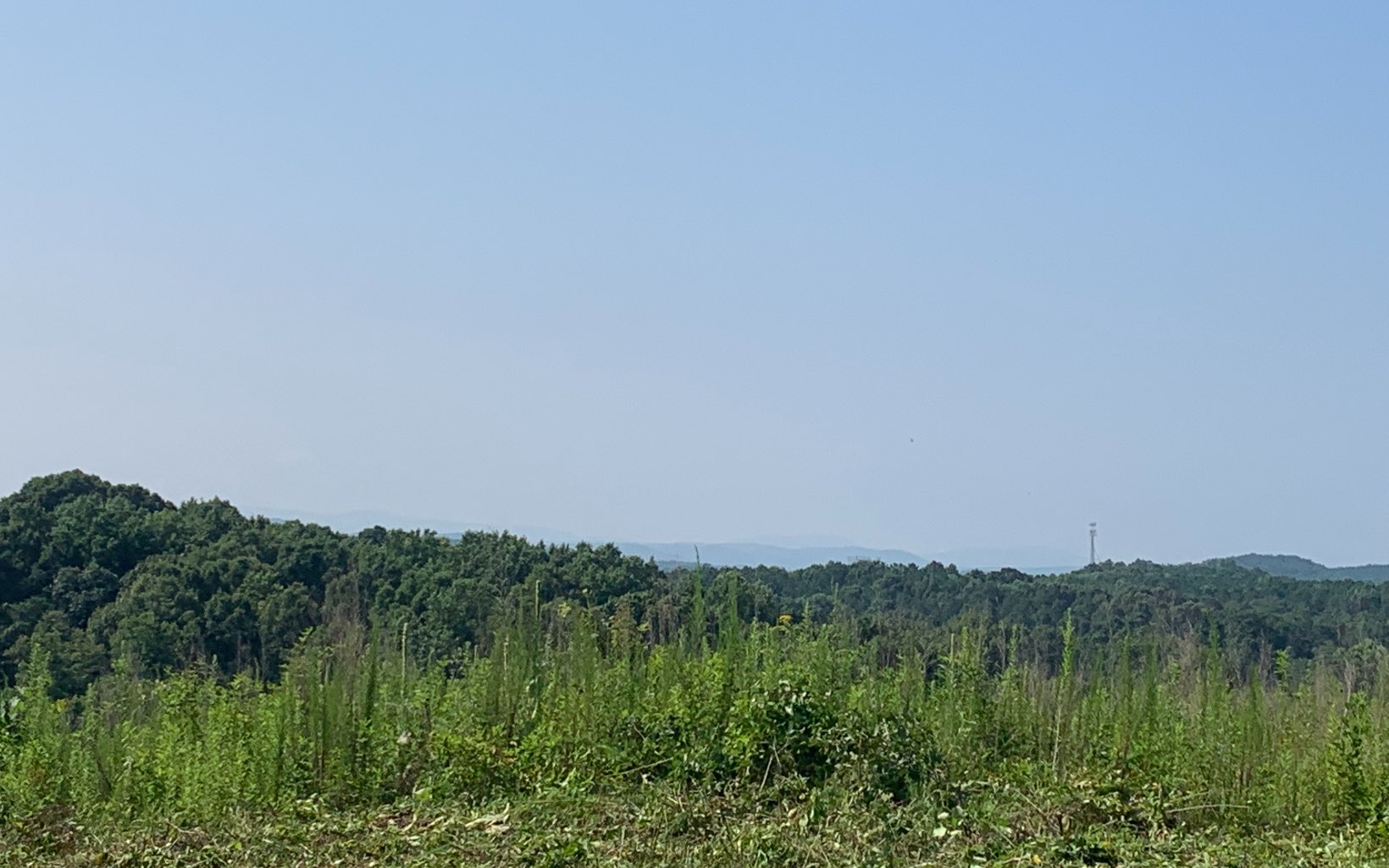10 Acres Red Bud Road Ranger, GA 30734 - Photo 1 of 4 Main View