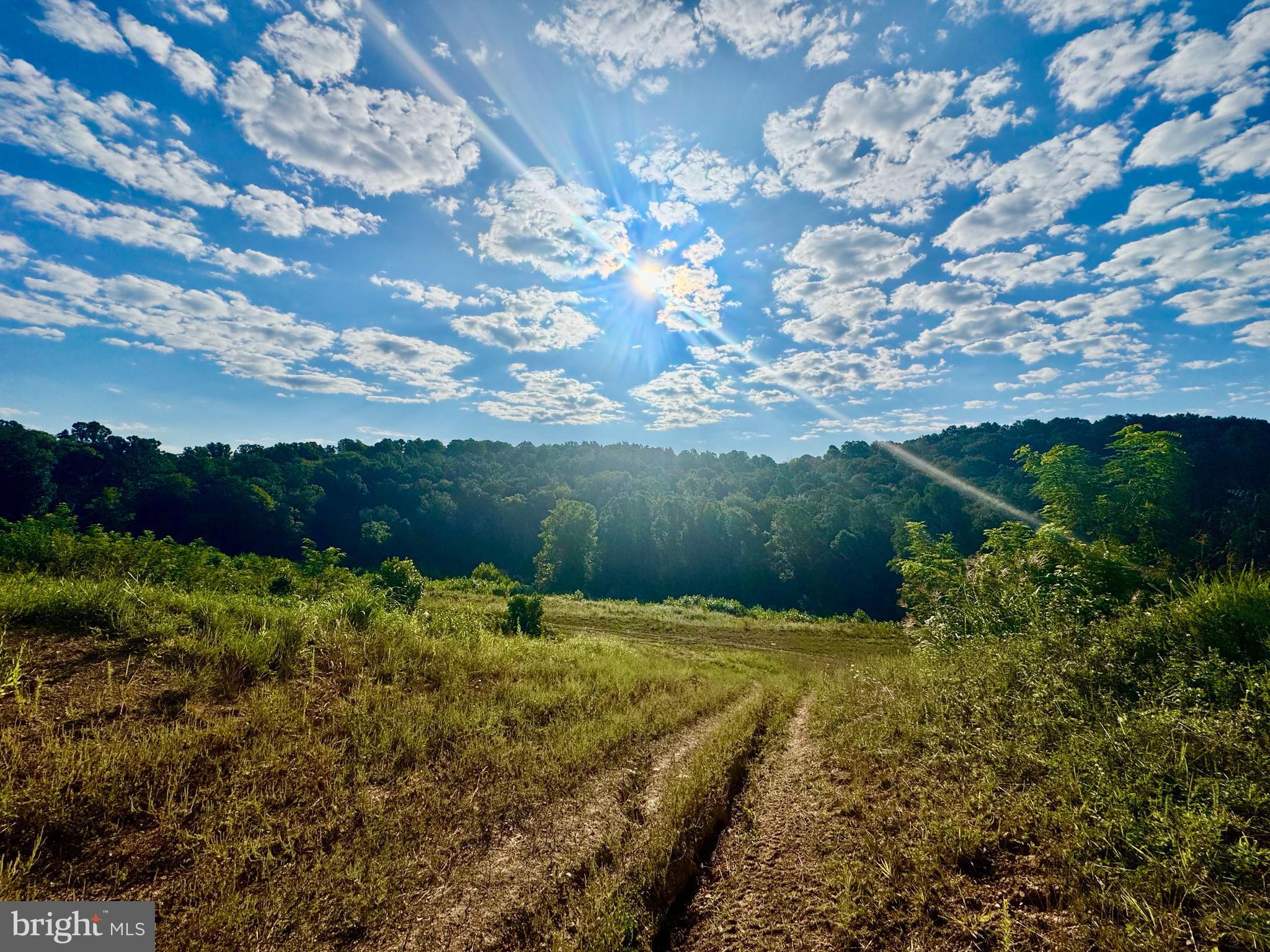 Tbd Hopewell Road Fairmont, WV 26554 - Photo 1 of 30
