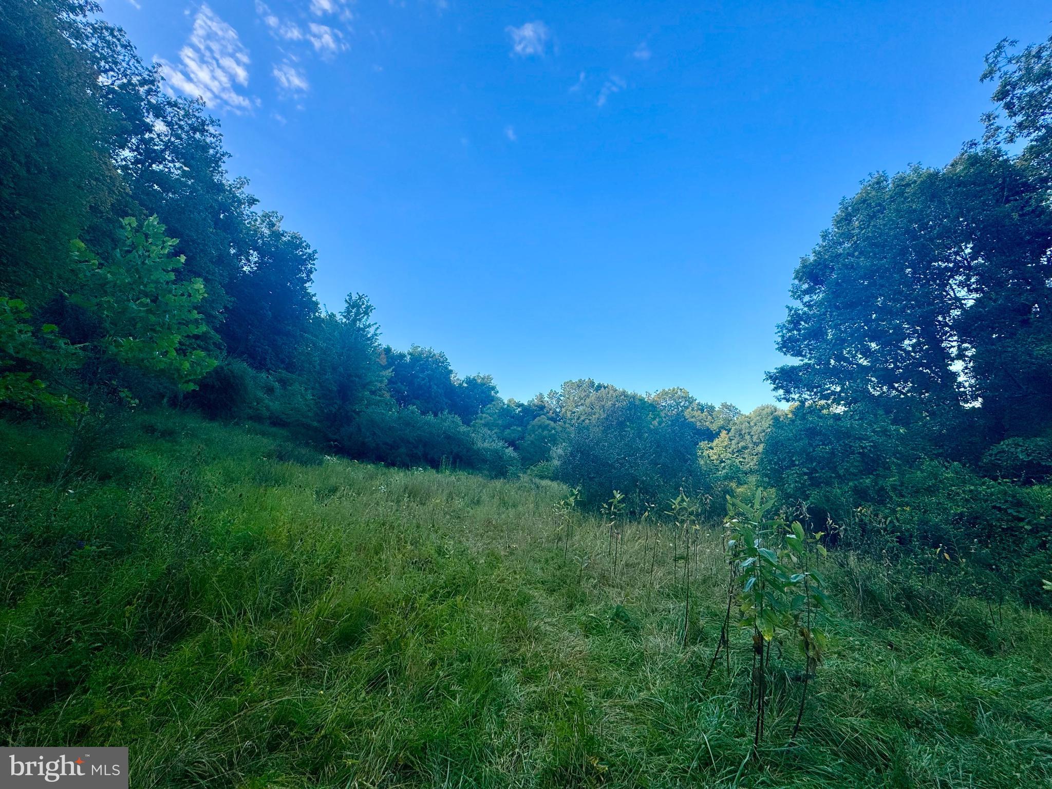 Tbd Hopewell Road Fairmont, WV 26554 - Photo 11 of 30