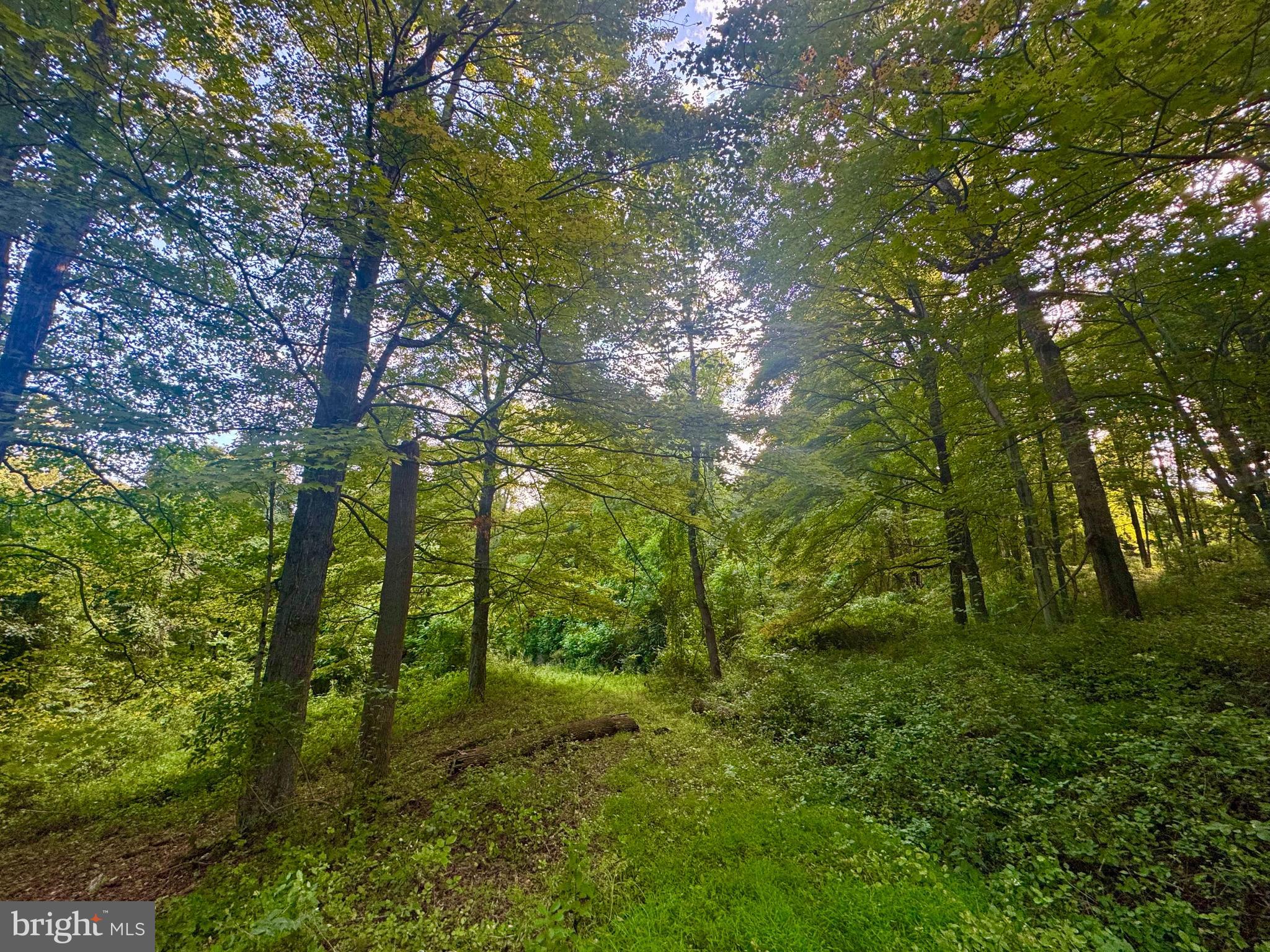 Tbd Hopewell Road Fairmont, WV 26554 - Photo 12 of 30