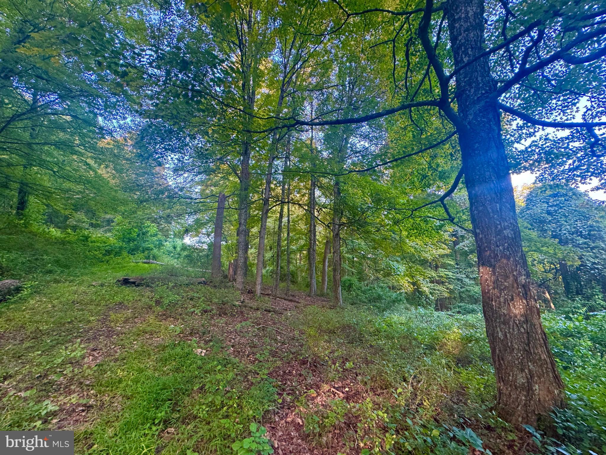 Tbd Hopewell Road Fairmont, WV 26554 - Photo 13 of 30