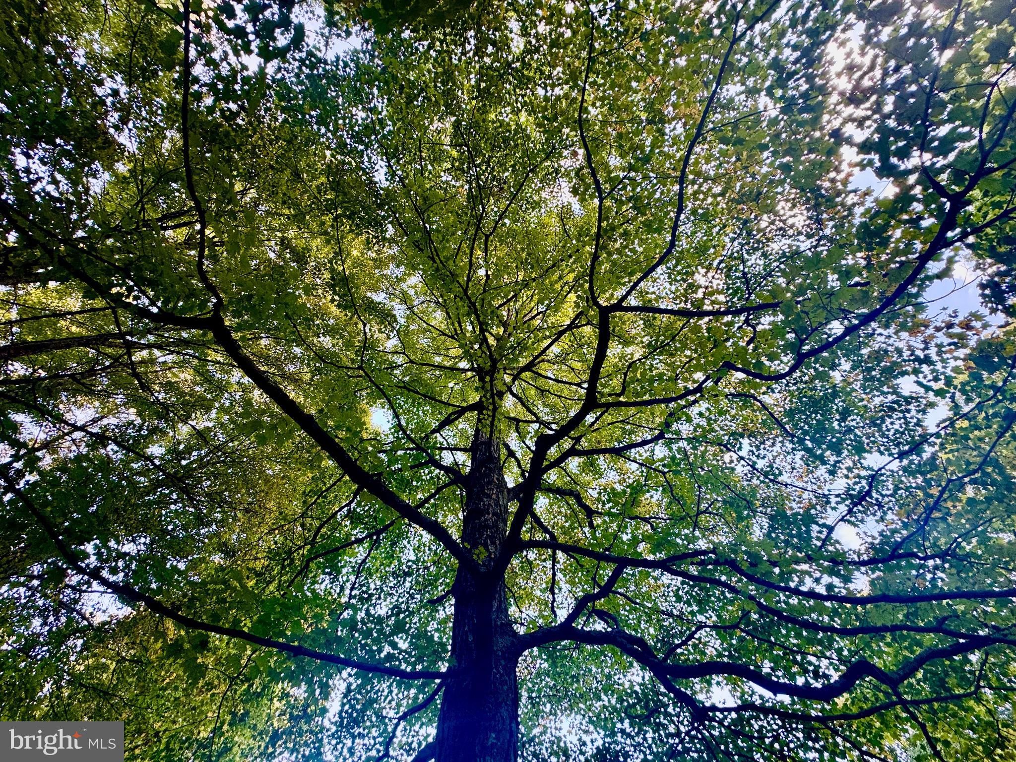 Tbd Hopewell Road Fairmont, WV 26554 - Photo 14 of 30