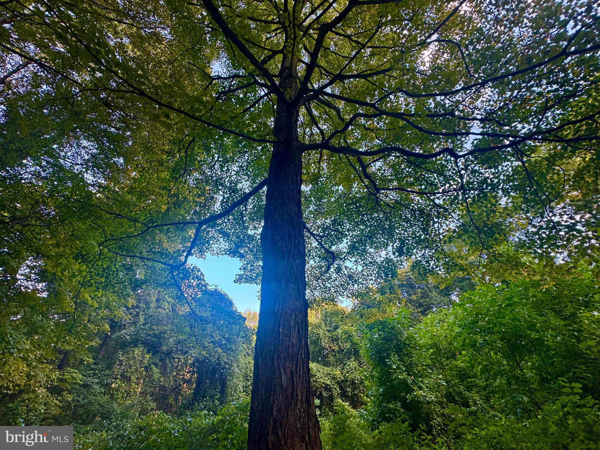 Tbd Hopewell Road Fairmont, WV 26554 - Photo 15 of 30