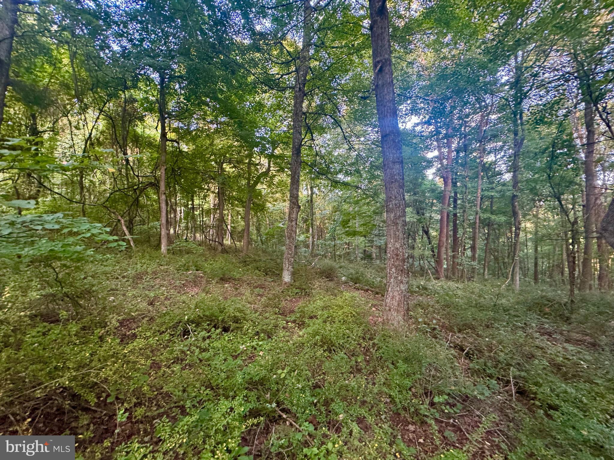 Tbd Hopewell Road Fairmont, WV 26554 - Photo 16 of 30