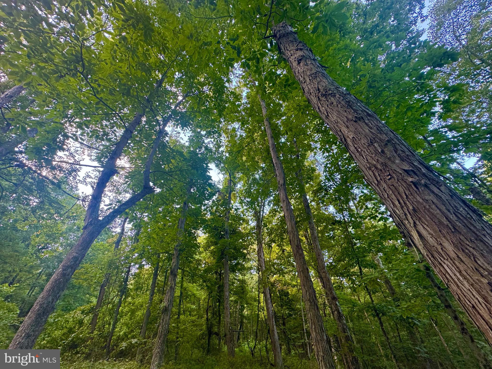 Tbd Hopewell Road Fairmont, WV 26554 - Photo 17 of 30