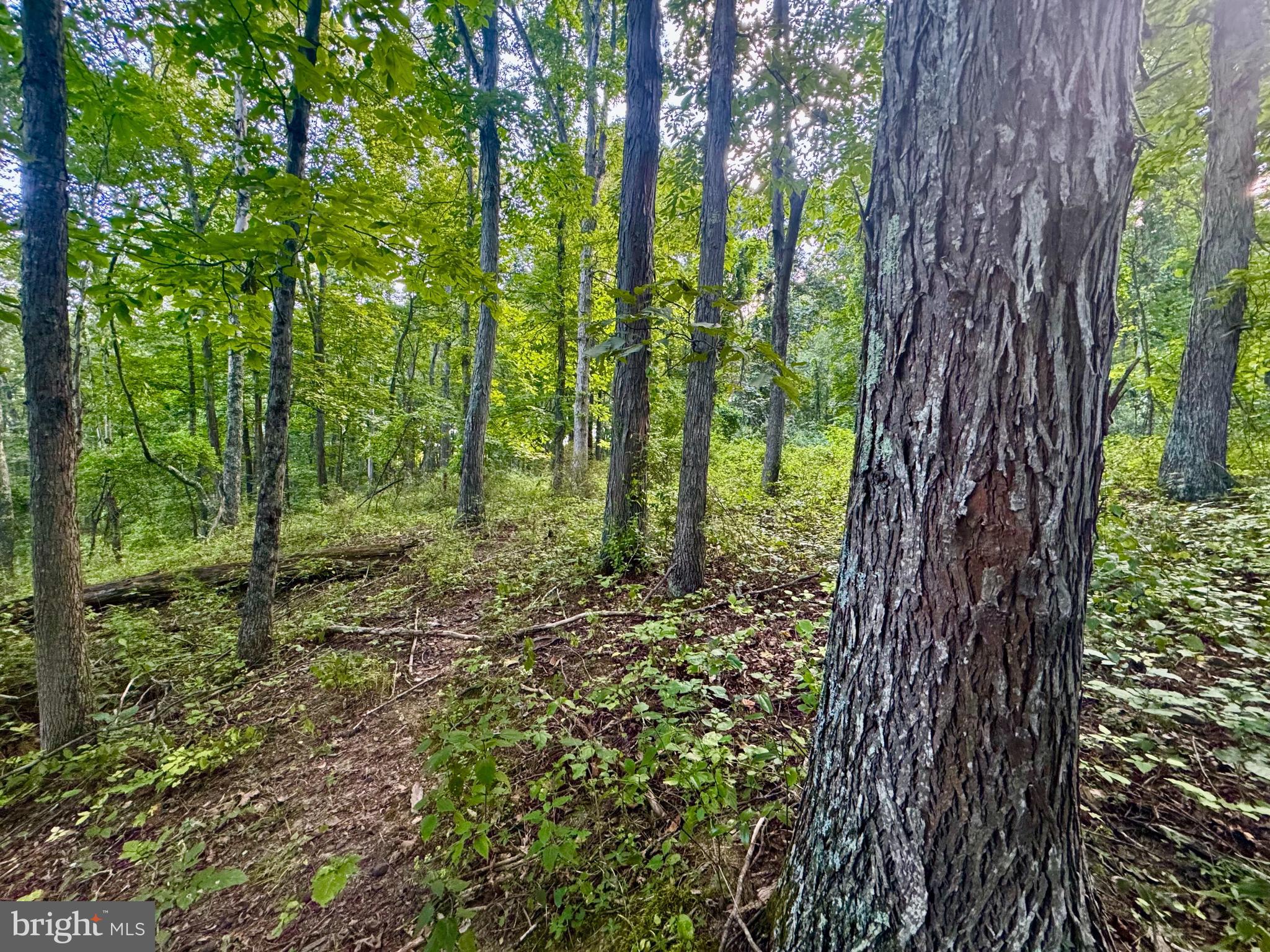 Tbd Hopewell Road Fairmont, WV 26554 - Photo 18 of 30