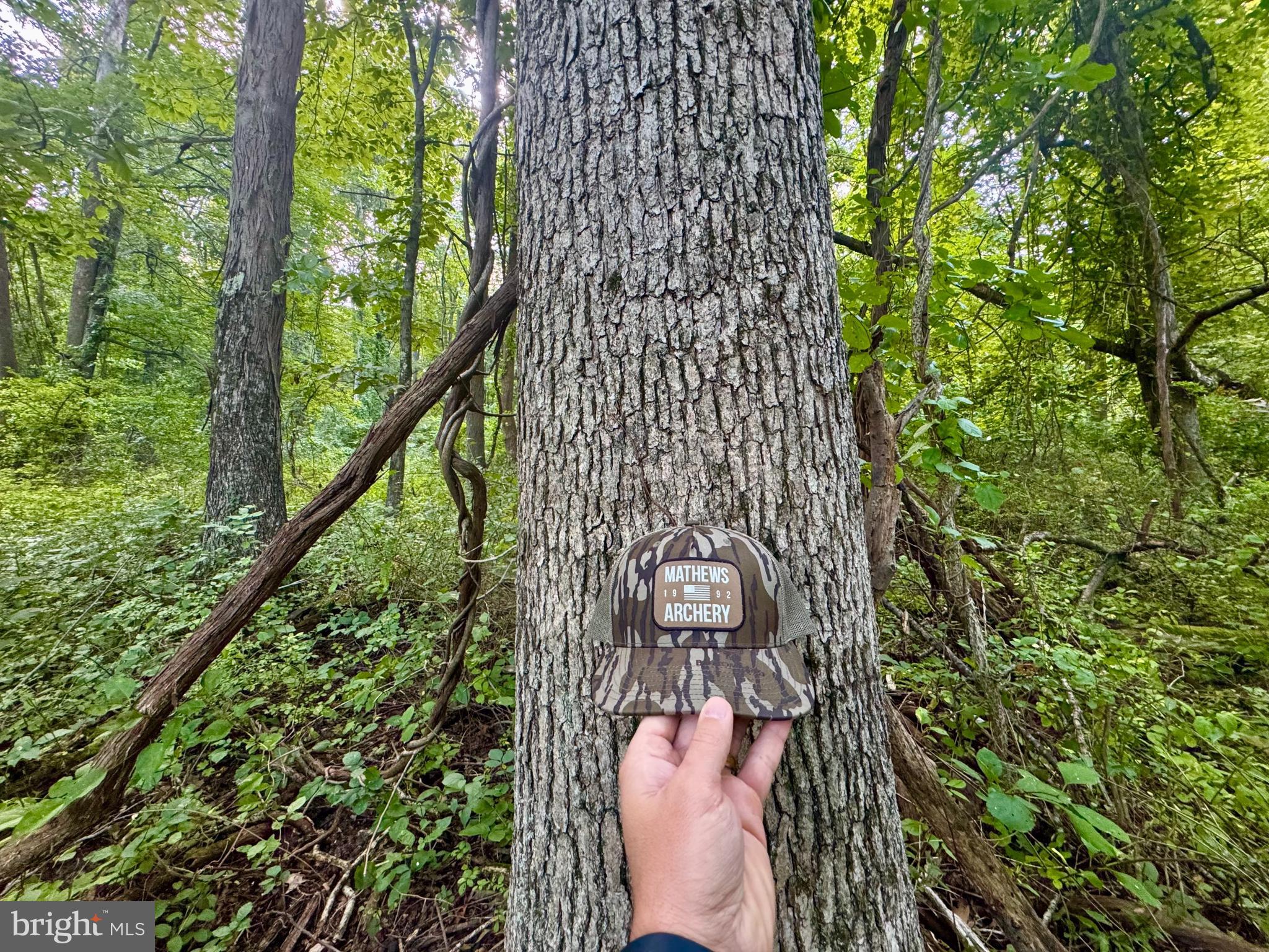 Tbd Hopewell Road Fairmont, WV 26554 - Photo 19 of 30