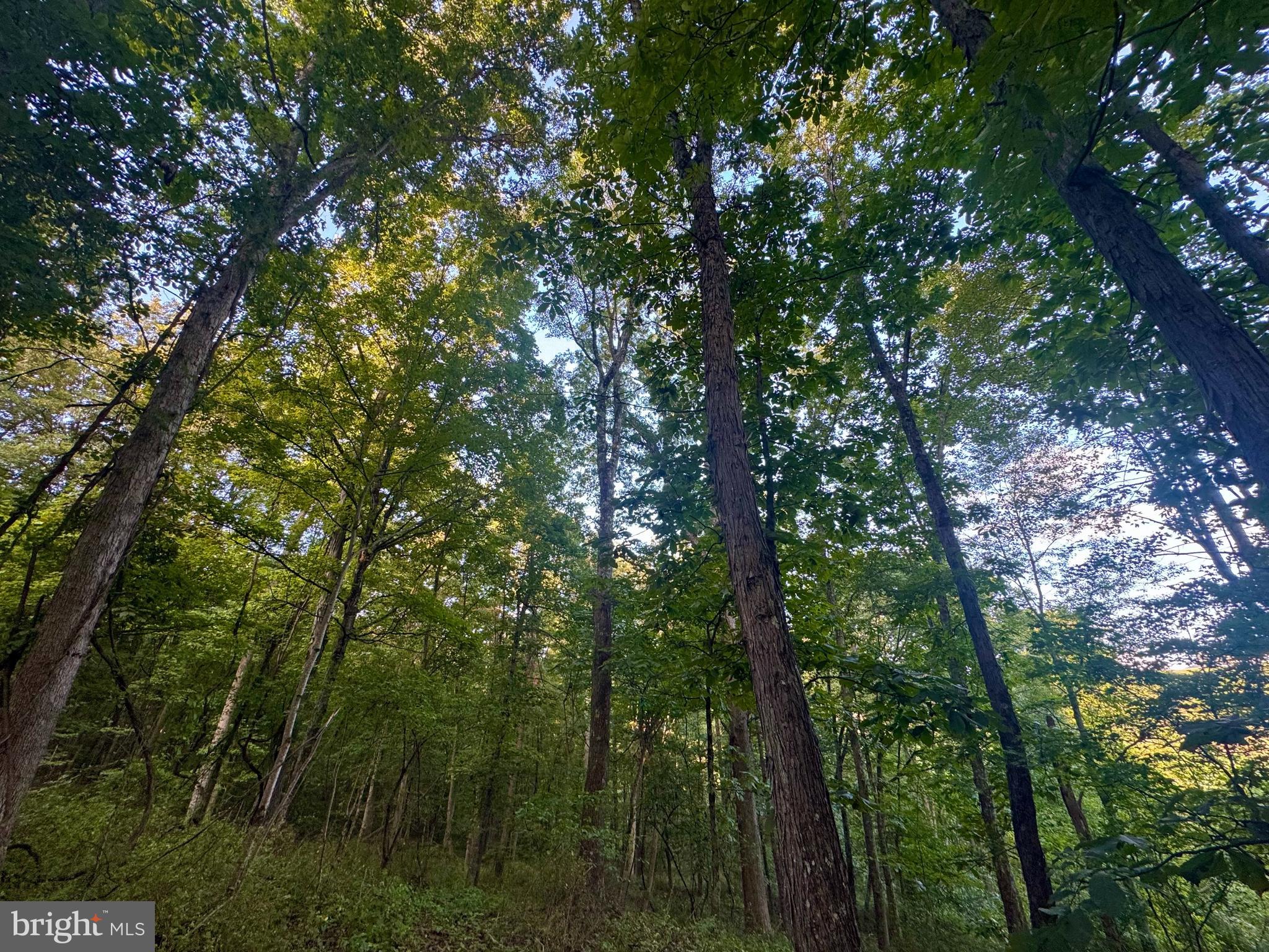 Tbd Hopewell Road Fairmont, WV 26554 - Photo 20 of 30