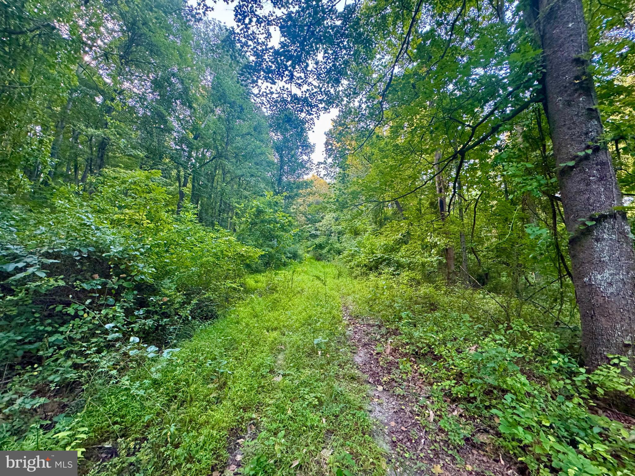 Tbd Hopewell Road Fairmont, WV 26554 - Photo 21 of 30