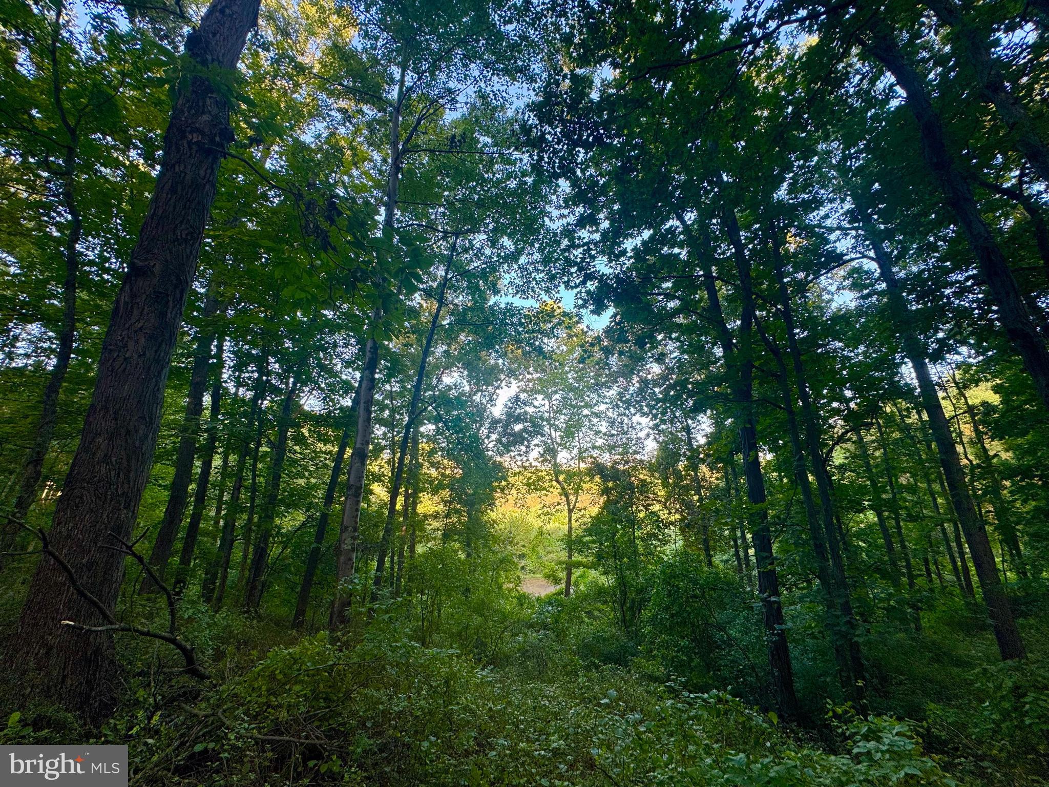 Tbd Hopewell Road Fairmont, WV 26554 - Photo 22 of 30