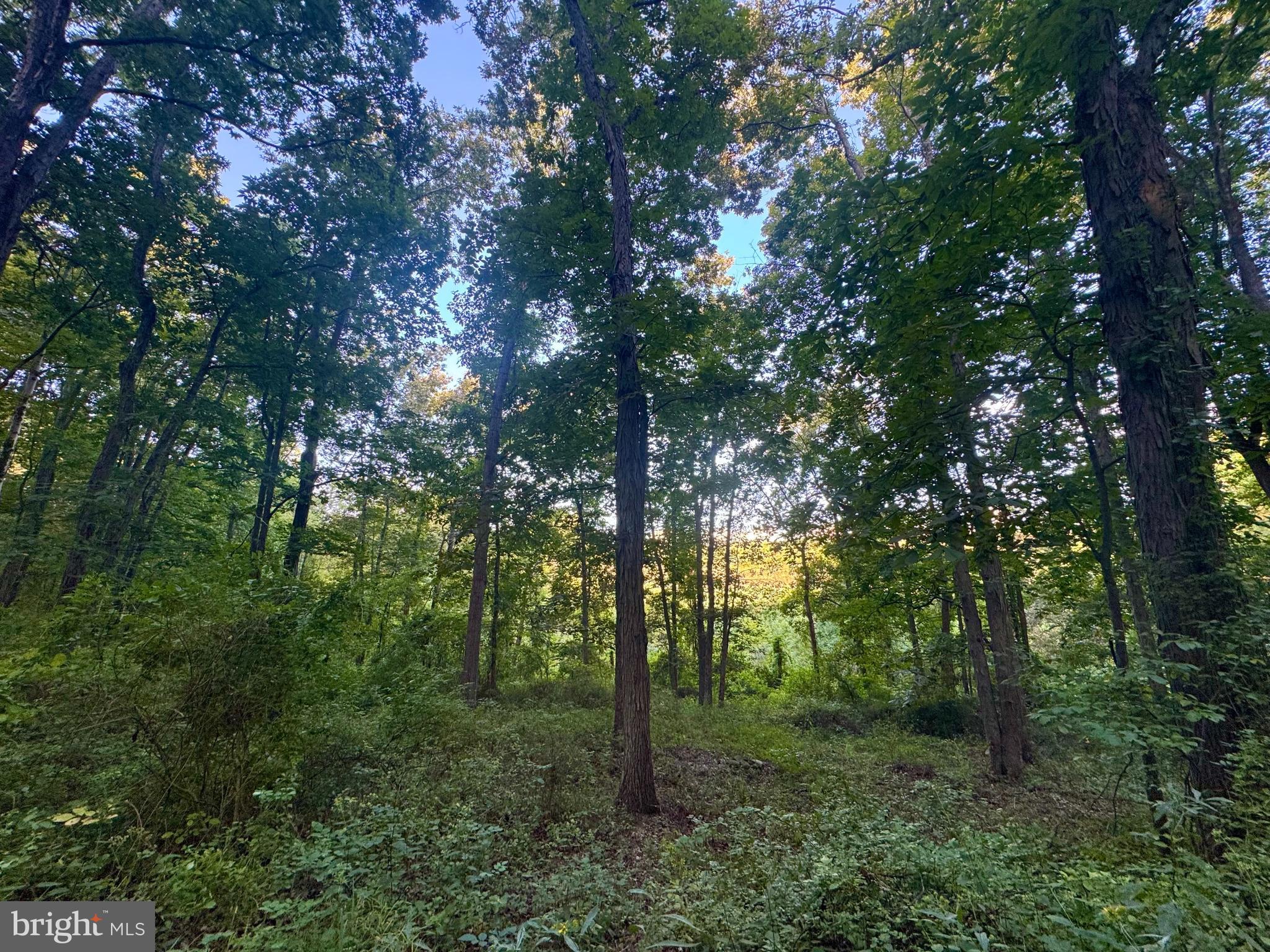 Tbd Hopewell Road Fairmont, WV 26554 - Photo 24 of 30