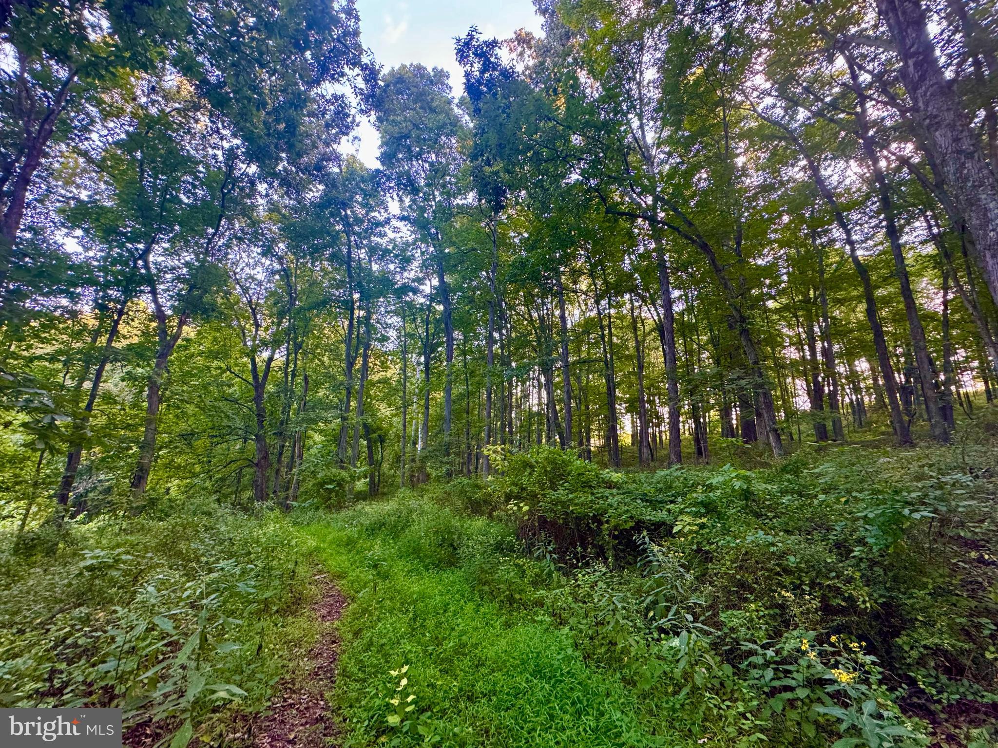 Tbd Hopewell Road Fairmont, WV 26554 - Photo 25 of 30