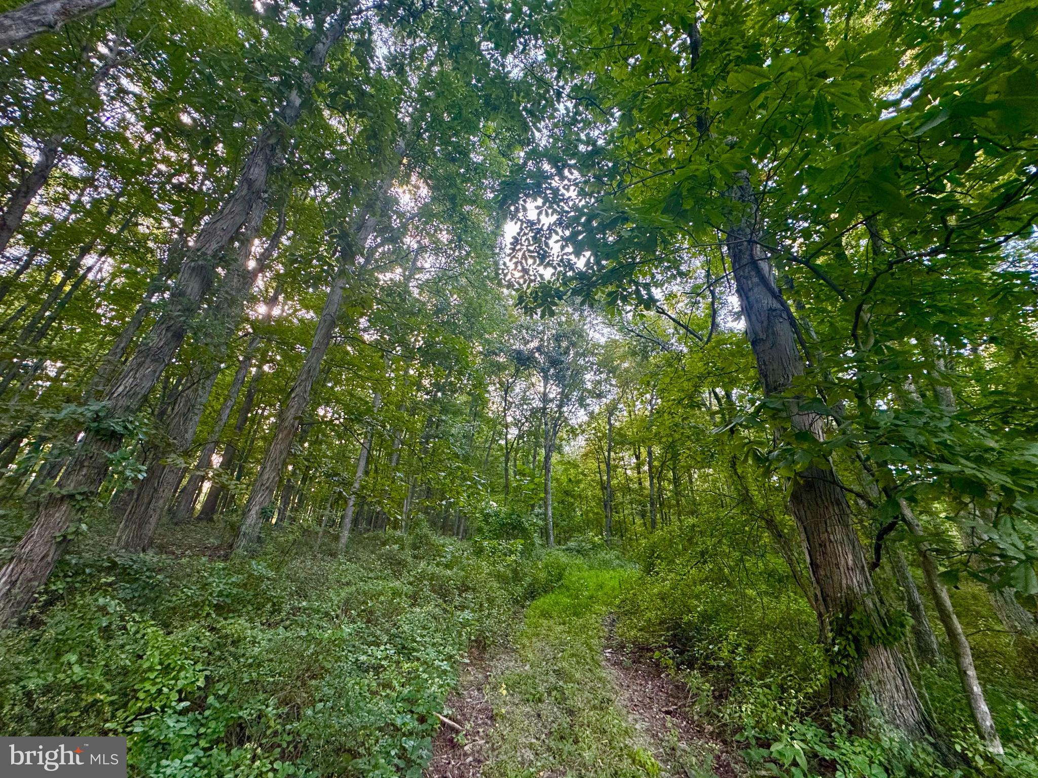 Tbd Hopewell Road Fairmont, WV 26554 - Photo 26 of 30