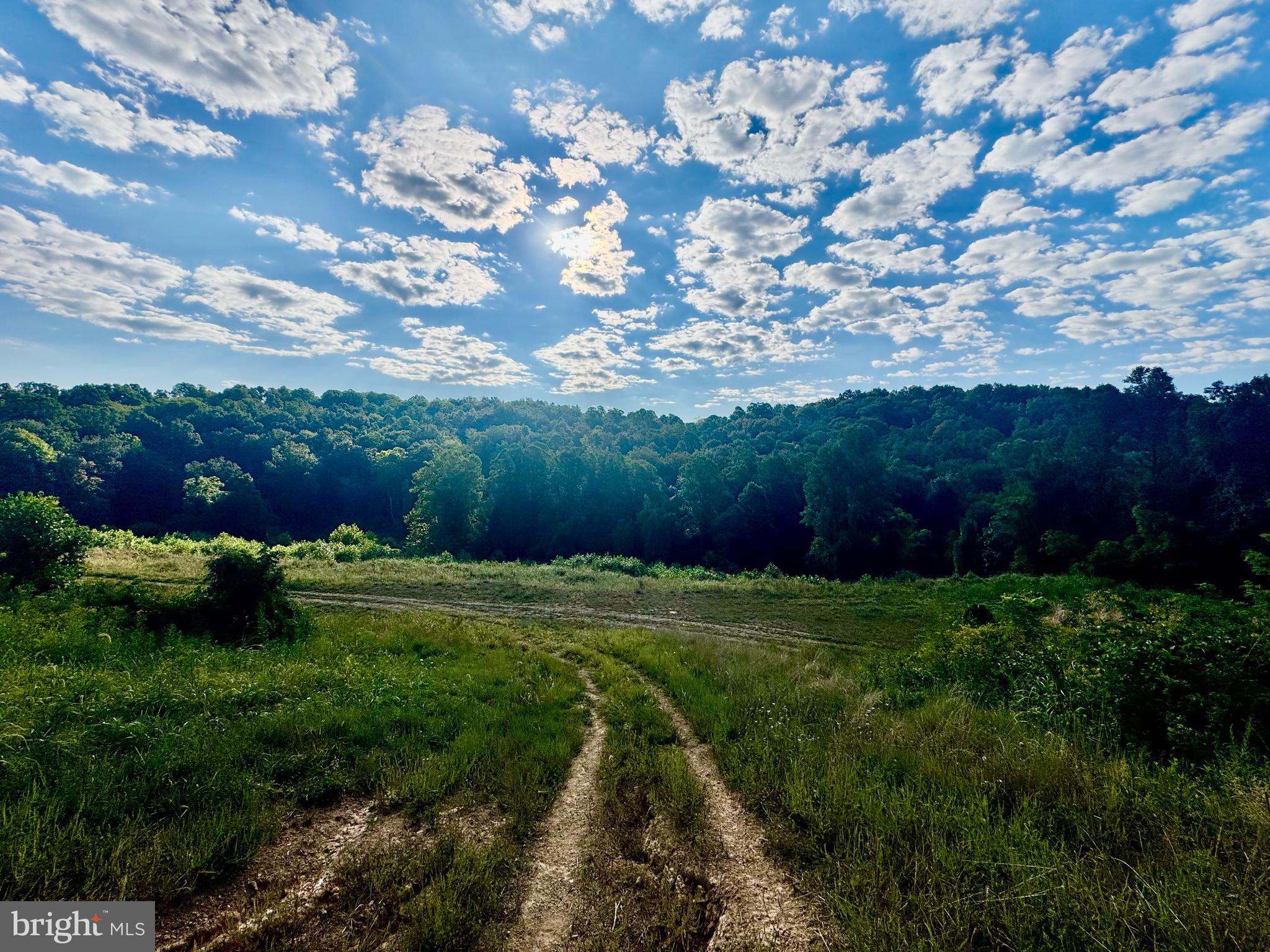 Tbd Hopewell Road Fairmont, WV 26554 - Photo 3 of 30