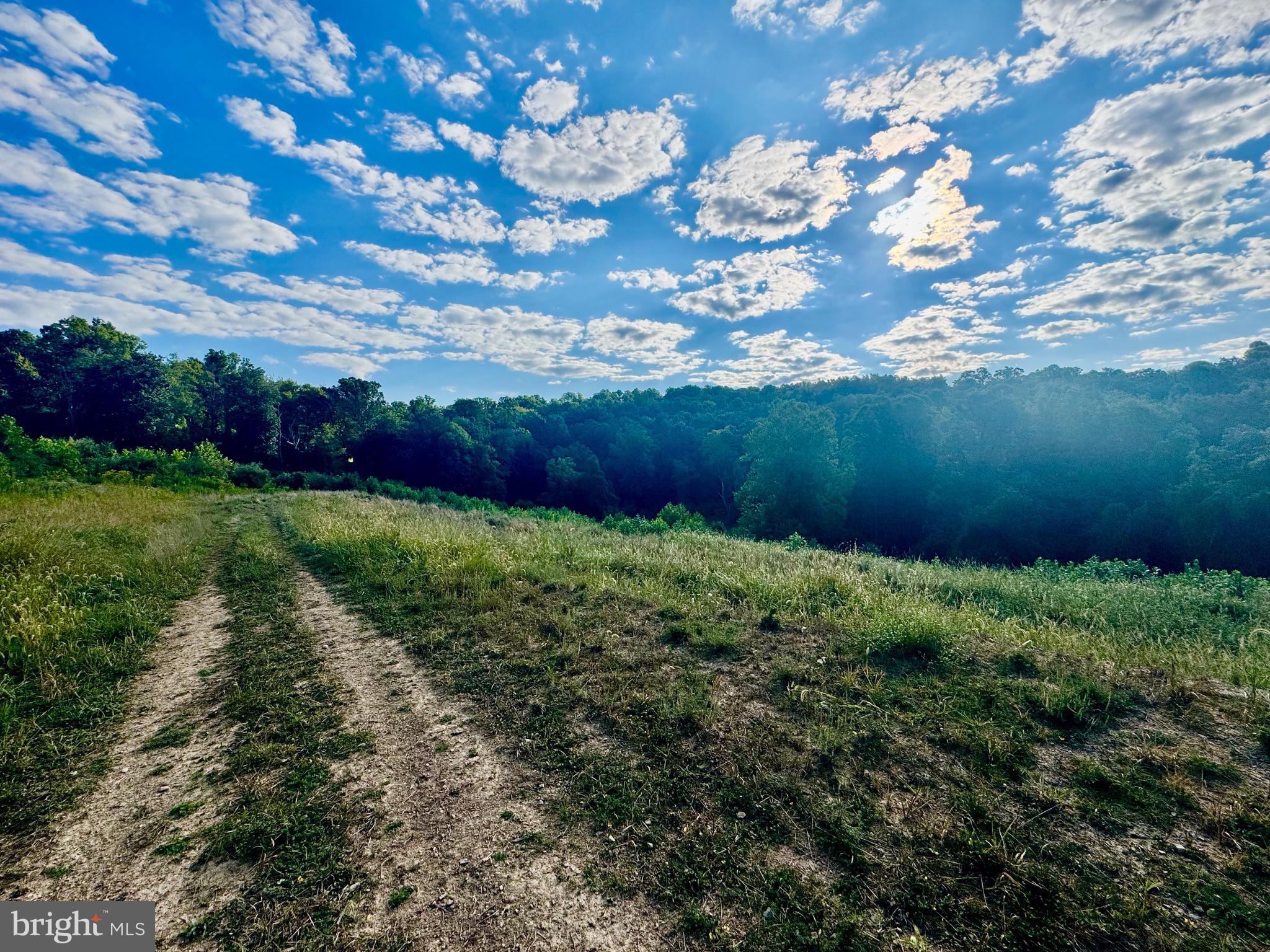 Tbd Hopewell Road Fairmont, WV 26554 - Photo 4 of 30