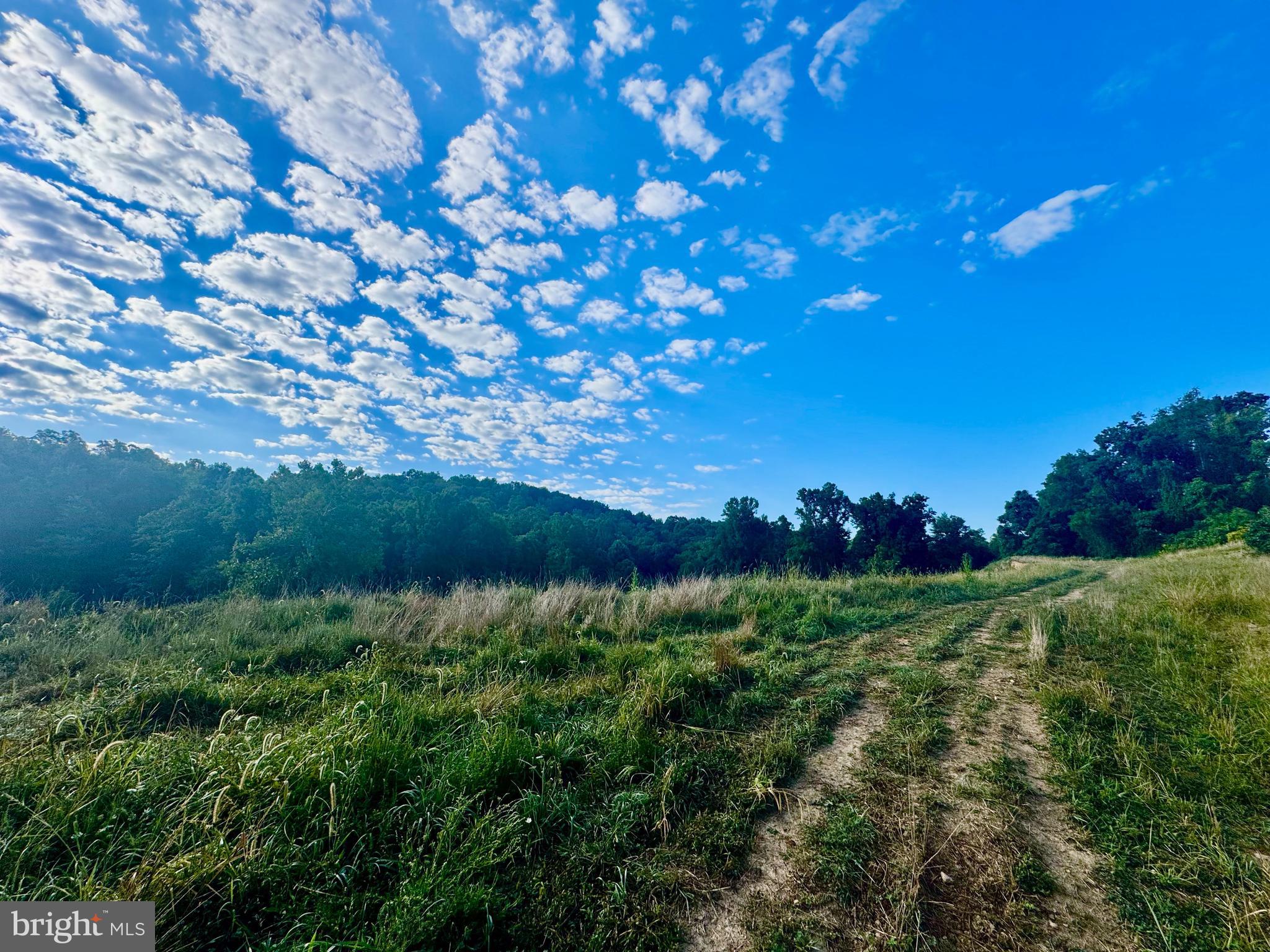 Tbd Hopewell Road Fairmont, WV 26554 - Photo 5 of 30