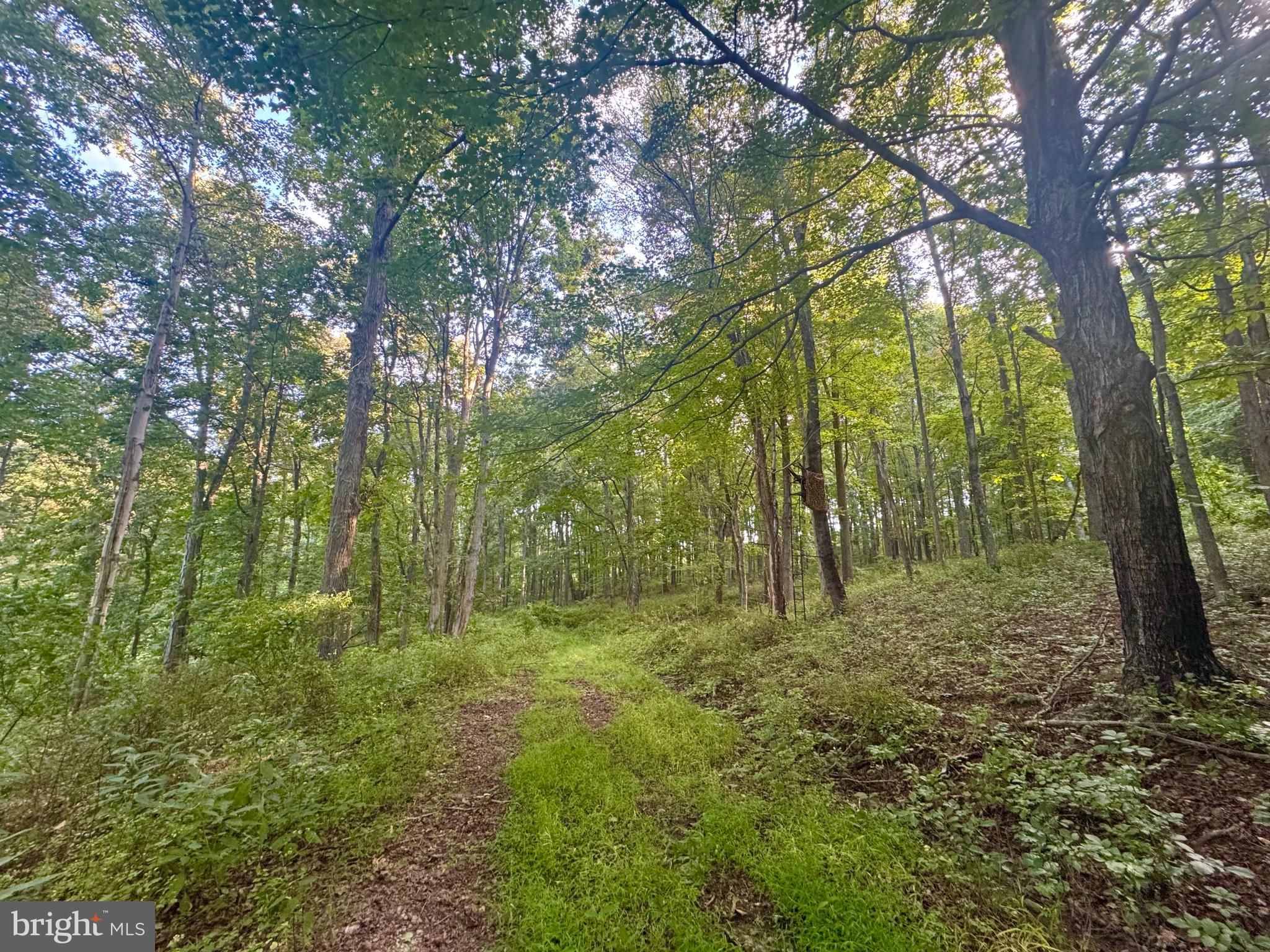 Tbd Hopewell Road Fairmont, WV 26554 - Photo 6 of 30