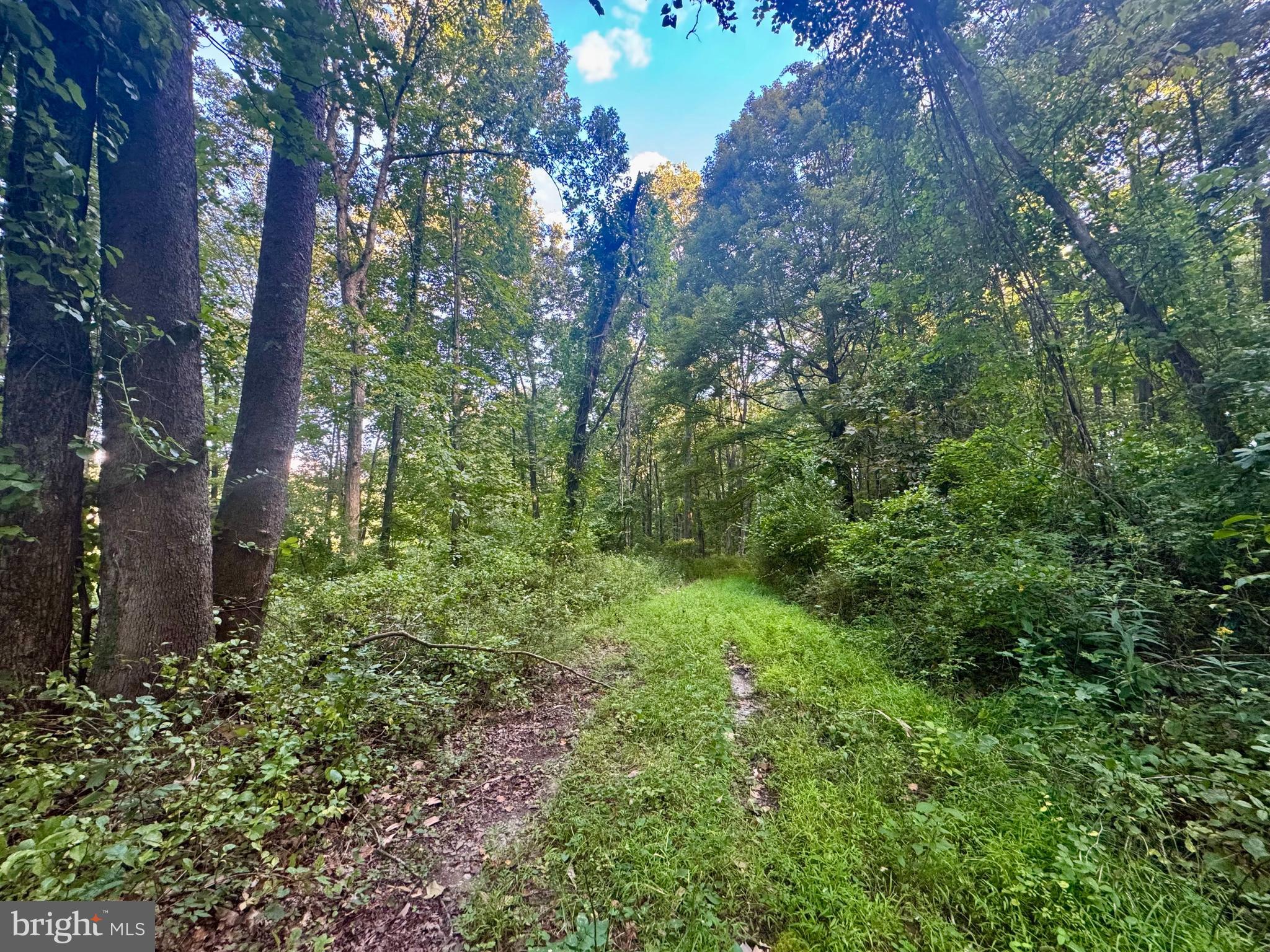 Tbd Hopewell Road Fairmont, WV 26554 - Photo 7 of 30