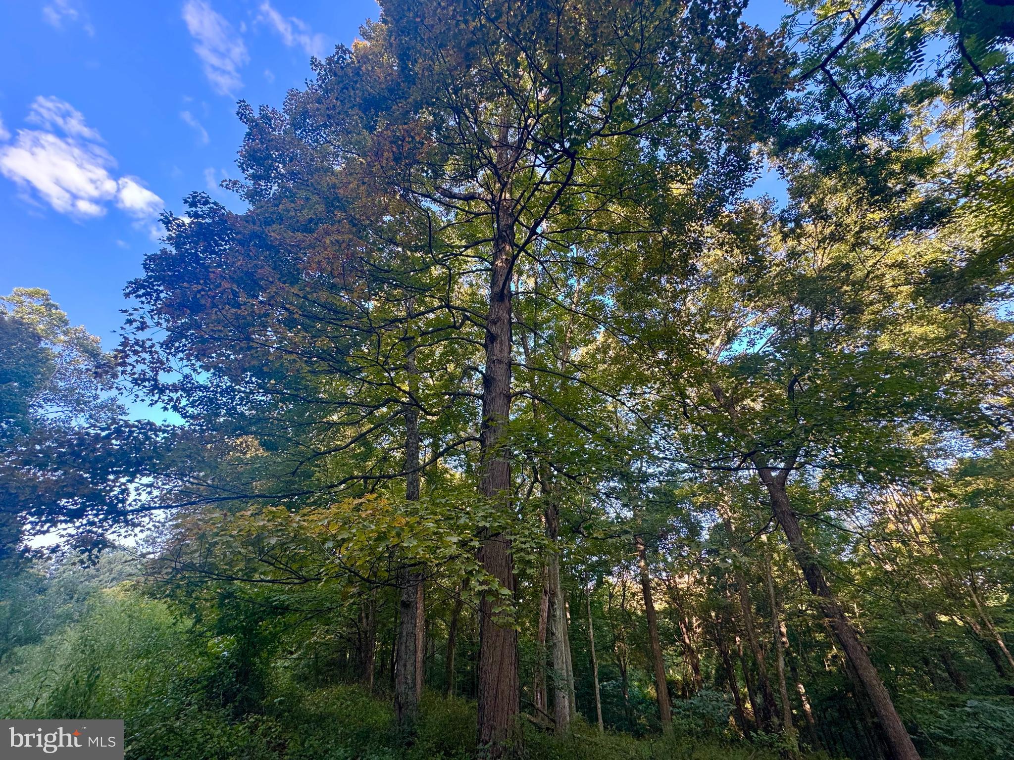 Tbd Hopewell Road Fairmont, WV 26554 - Photo 8 of 30