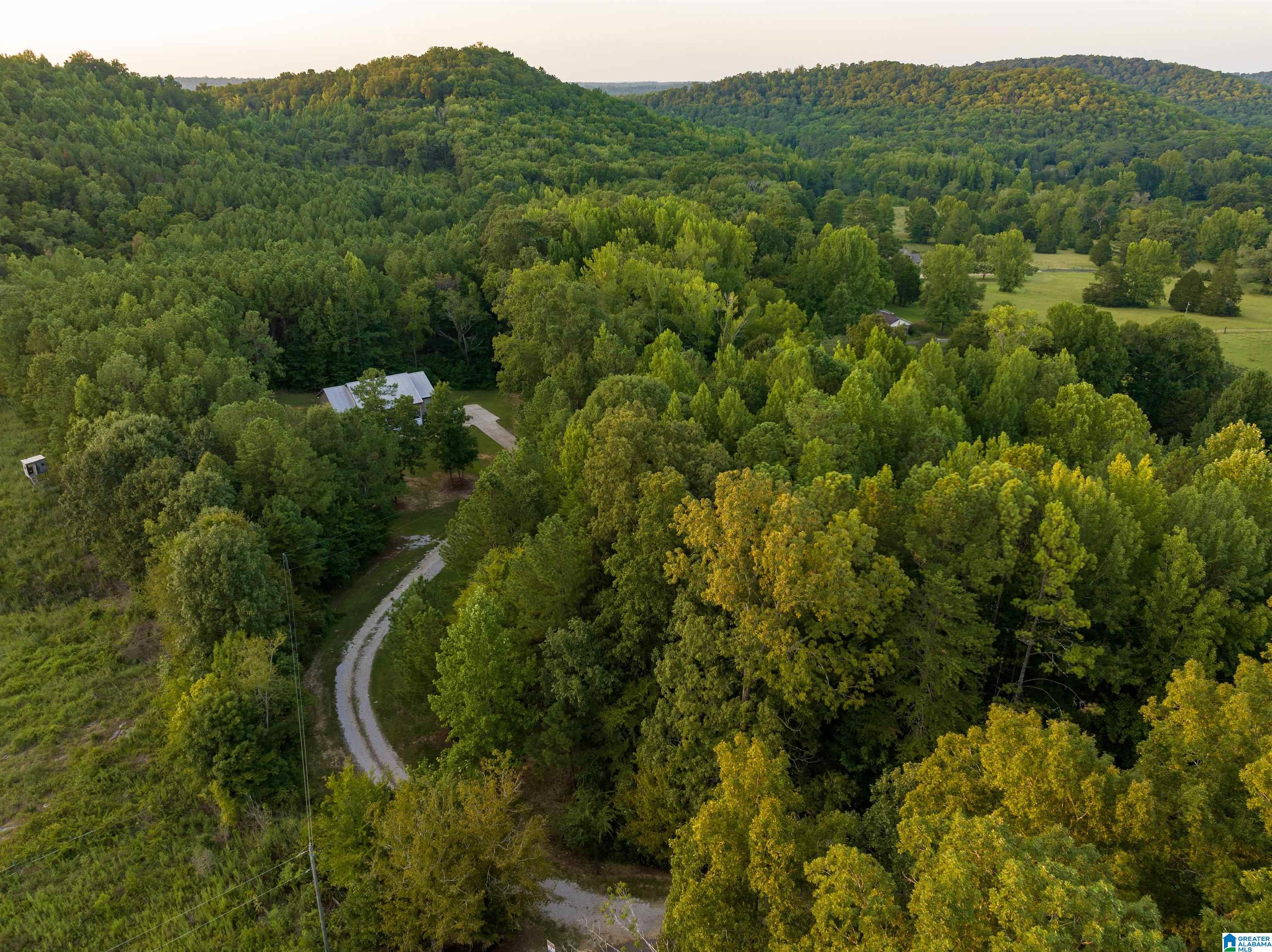 7844 Lowe Drive Springville, AL 35146 - Photo 35 of 39