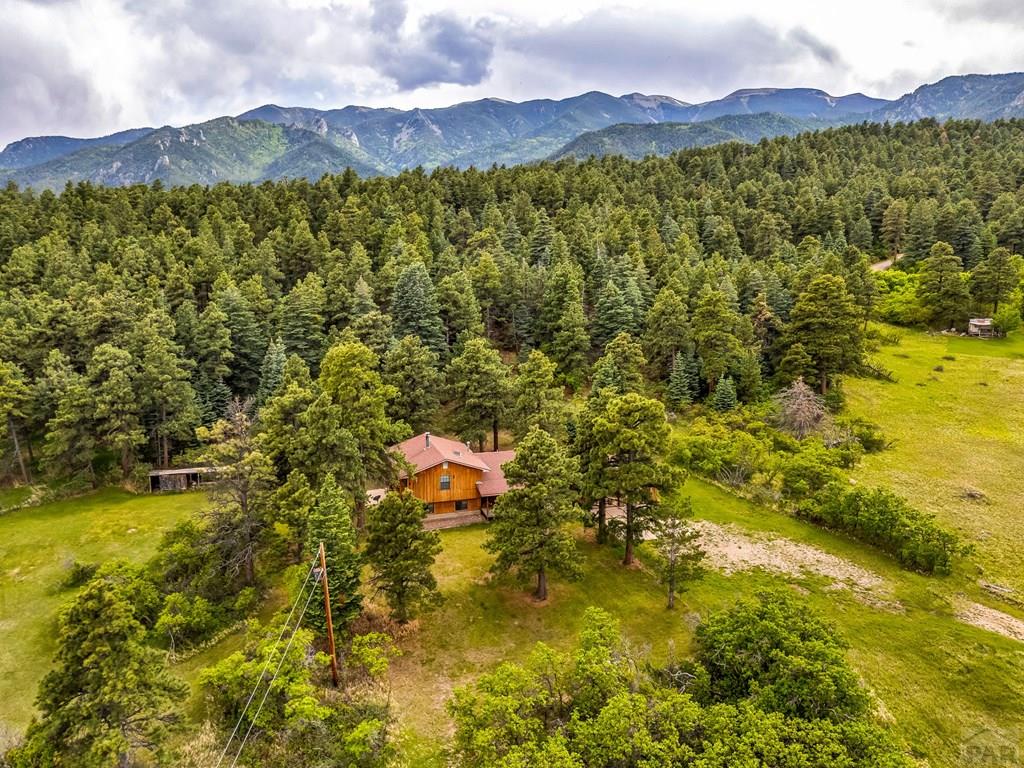 8486 Highway 165 Rye, CO 81069 - Photo 44 of 60