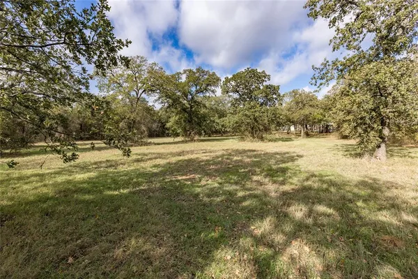 a view of dirt field with trees