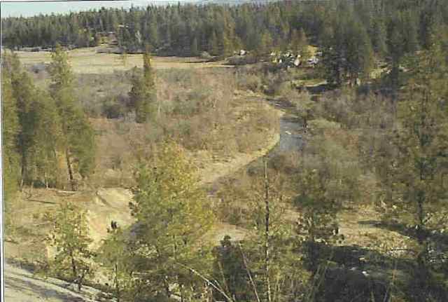 0 Martha Boardman Road Ford, WA 99013 - Photo 1 of 1 Gallery Image 1
