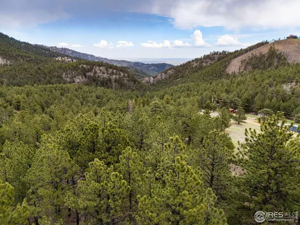 a view of a lush green forest with mountains in the background