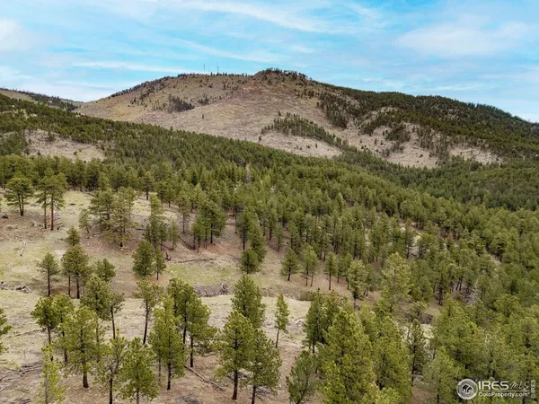 a view of a mountain range with trees
