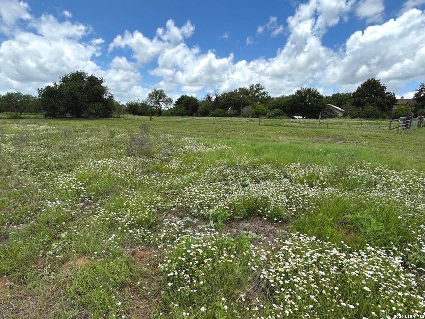 1460 Sandy Elm Road La Vernia, TX 78121 - Photo 4 of 25