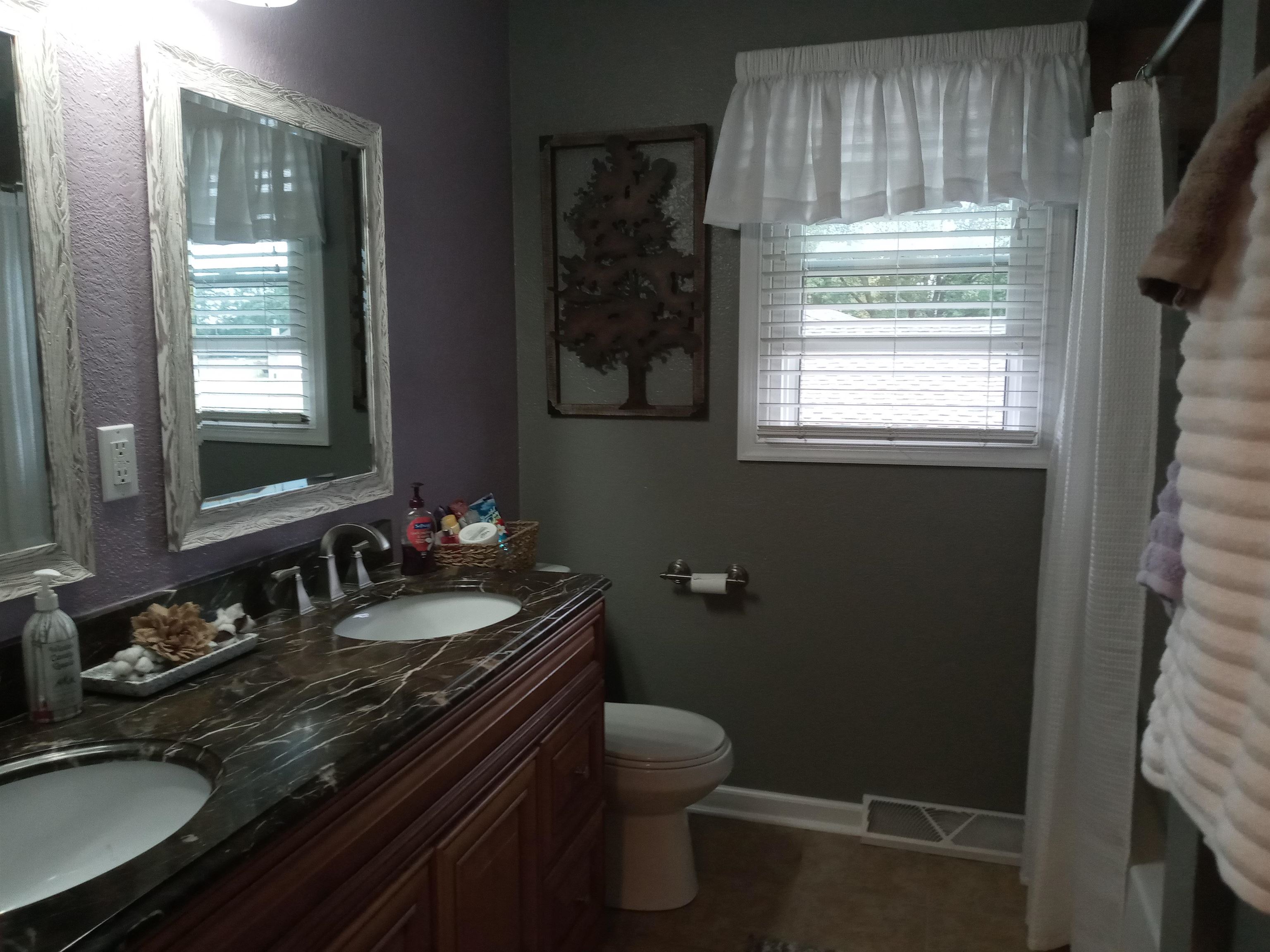207 Westfield Road Winnebago, IL 61088 - Photo 18 of 27 a bathroom with a sink toilet and window