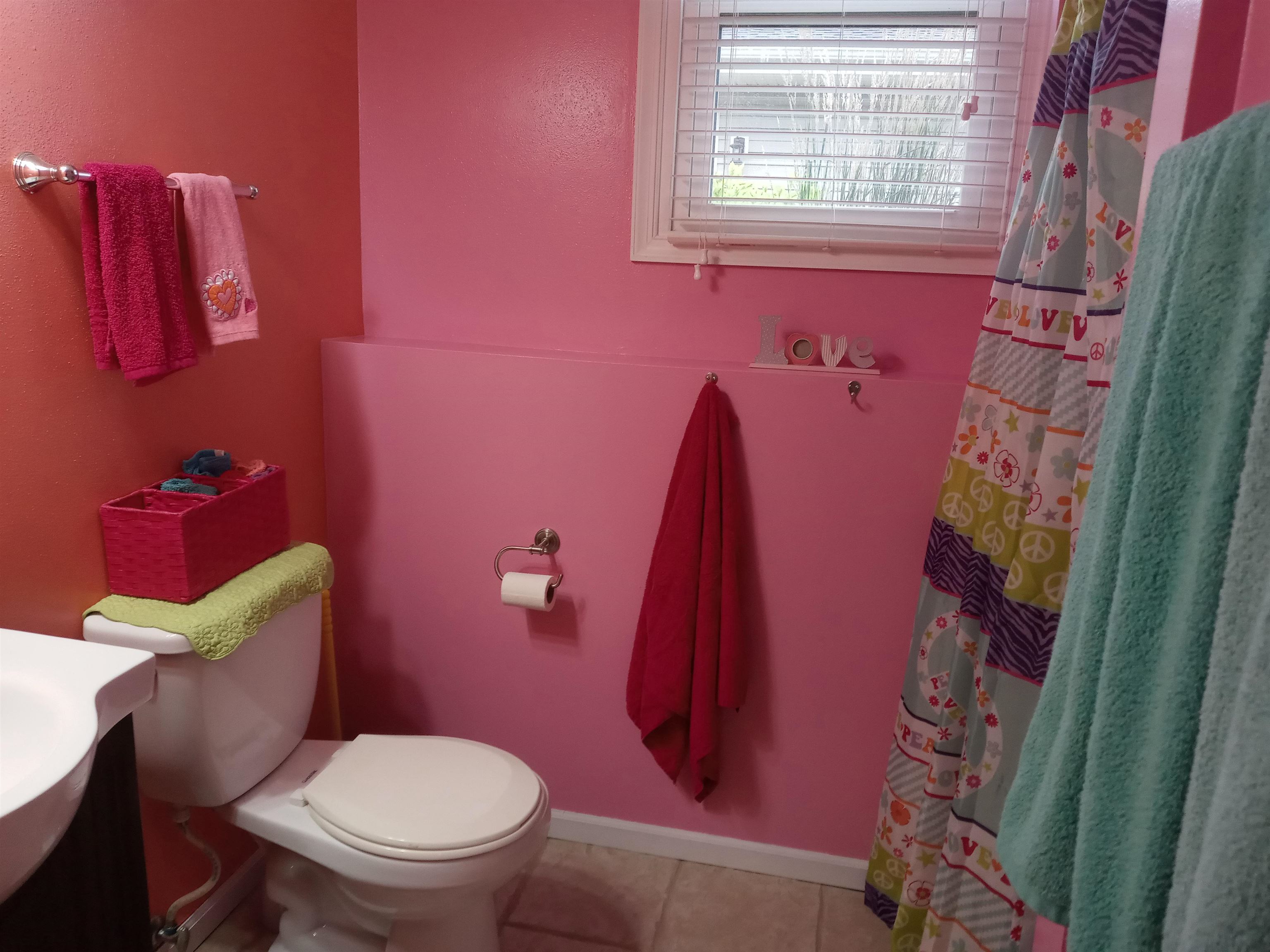 207 Westfield Road Winnebago, IL 61088 - Photo 27 of 27 a bathroom with a toilet and a shower curtain