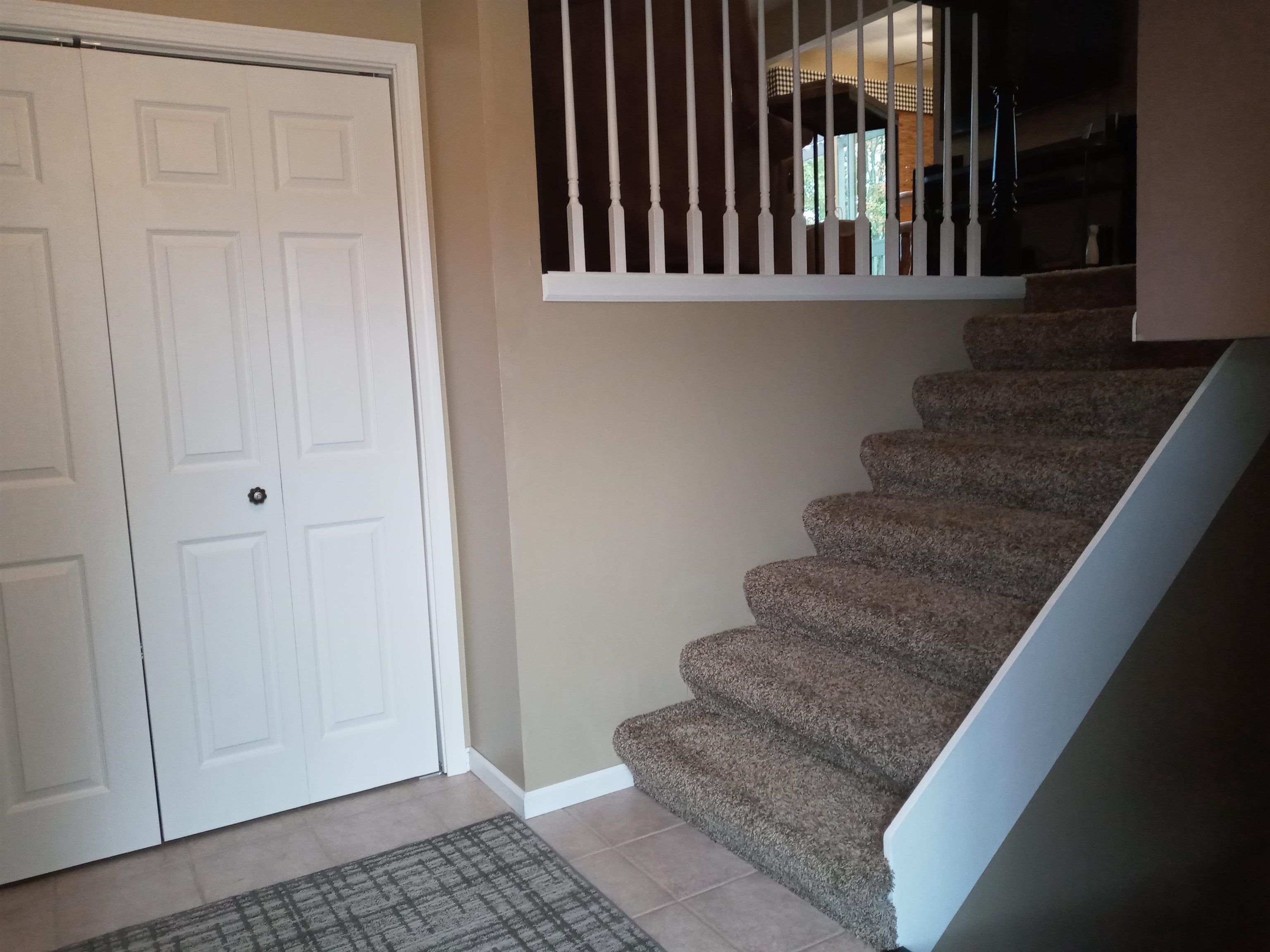 207 Westfield Road Winnebago, IL 61088 - Photo 9 of 27 a view of entryway and hall with wooden floor