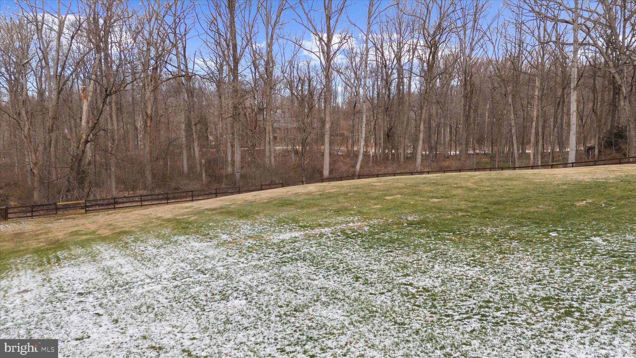 2308 Caves Road Owings Mills, MD 21117 - Photo 64 of 70 a view of a yard with large trees