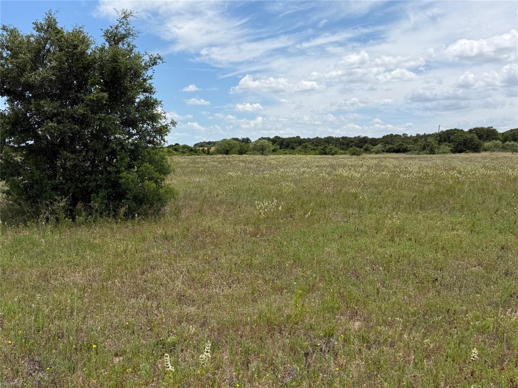 1450 County Road 240 Rising Star, TX 76471 - Photo 7 of 17 a view of a lake view