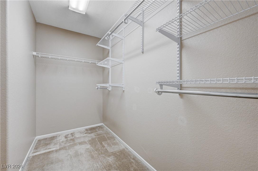 645 Monument Point Street Henderson, NV 89002 - Photo 33 of 54 Walk in closet featuring light carpet