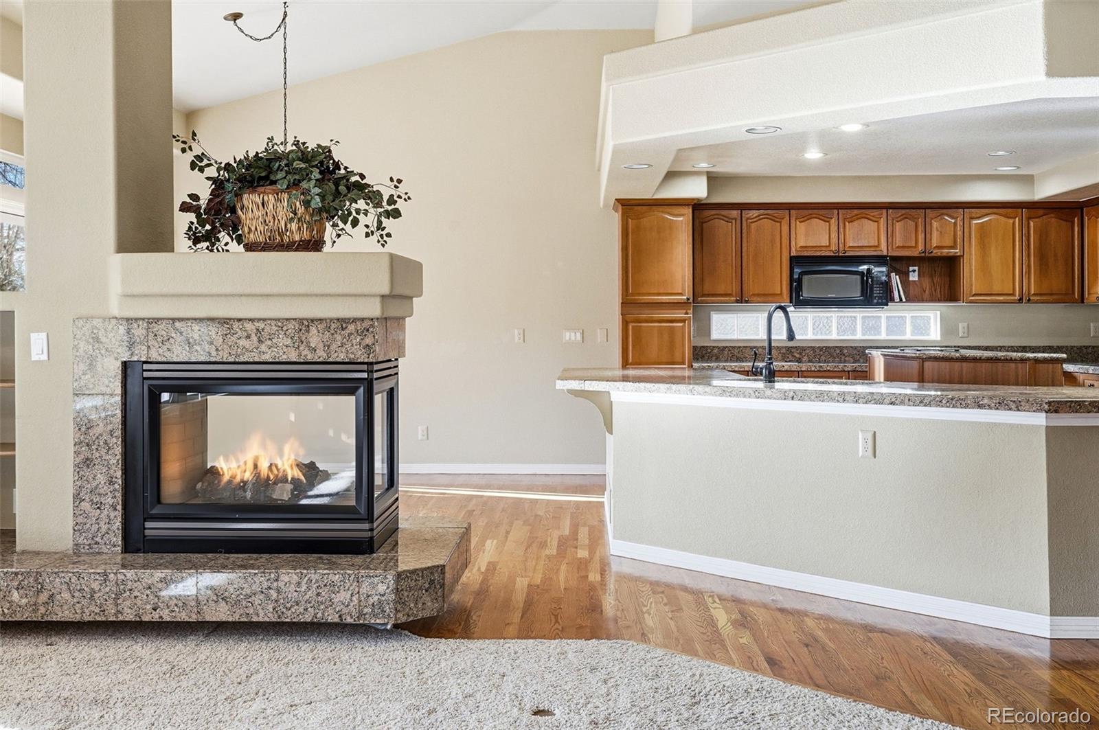 10482 Grizzly Gulch Highlands Ranch, CO 80129 - Photo 12 of 50 a living room with furniture and a fireplace