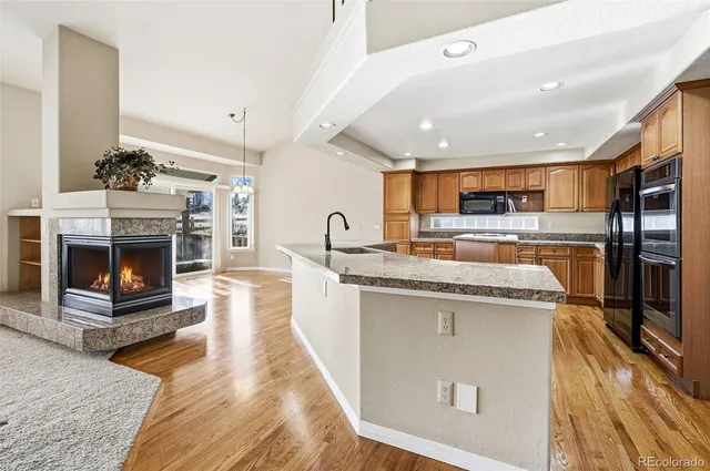 $876,543 | 10482 Grizzly Gulch, Highlands Ranch, CO 80129