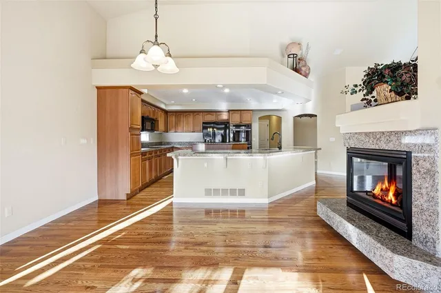 $876,543 | 10482 Grizzly Gulch, Highlands Ranch, CO 80129