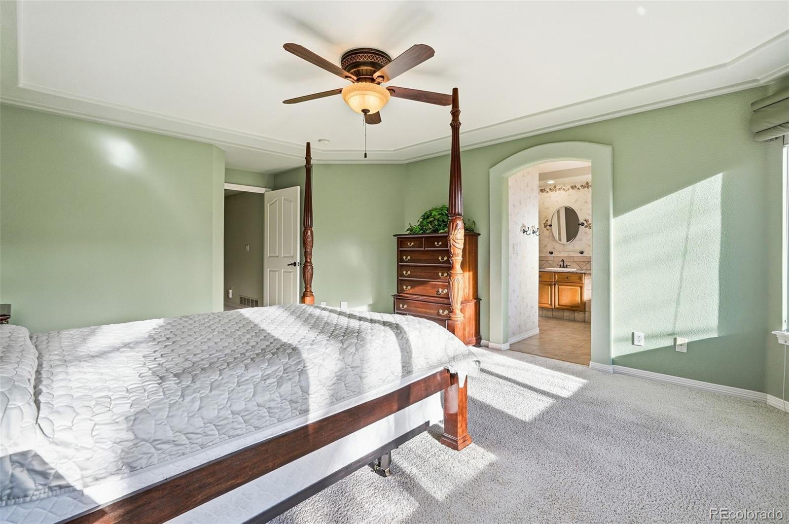 10482 Grizzly Gulch Highlands Ranch, CO 80129 - Photo 28 of 50 a bed room with a bed and a large mirror