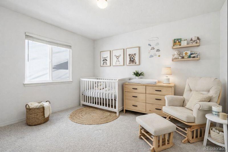 10482 Grizzly Gulch Highlands Ranch, CO 80129 - Photo 38 of 50 a bedroom with furniture and a window