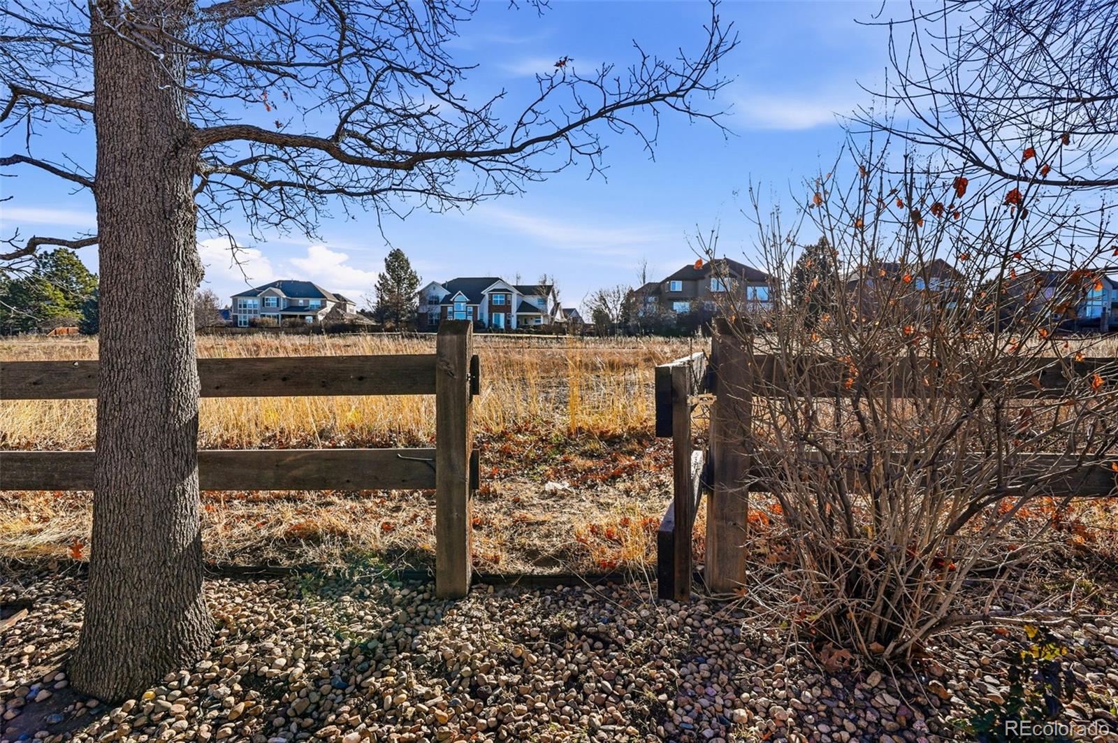 10482 Grizzly Gulch Highlands Ranch, CO 80129 - Photo 46 of 50 a view of lake
