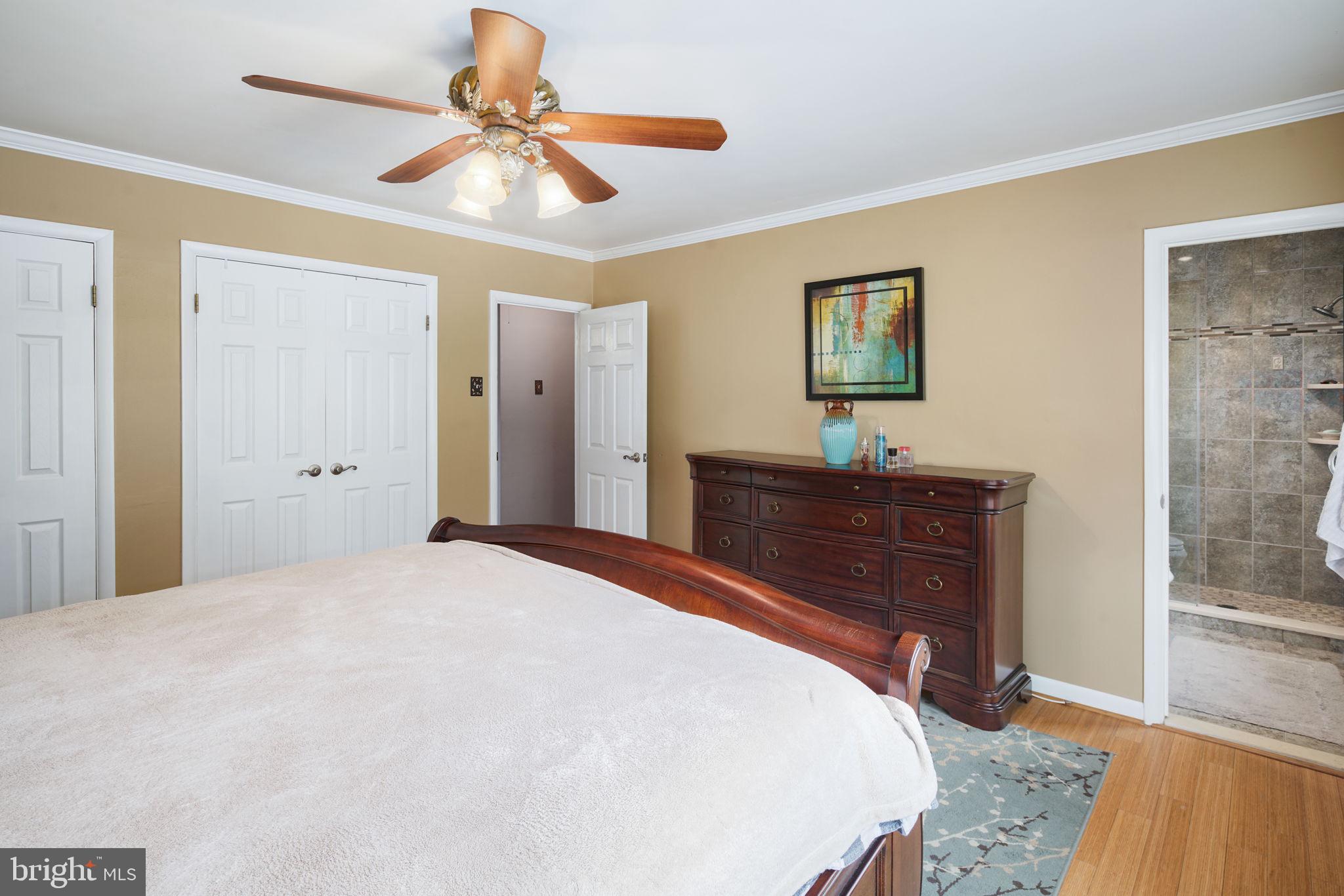 501 Wingate Road Huntingdon Valley, PA 19006 - Photo 19 of 38 Double Closets and....