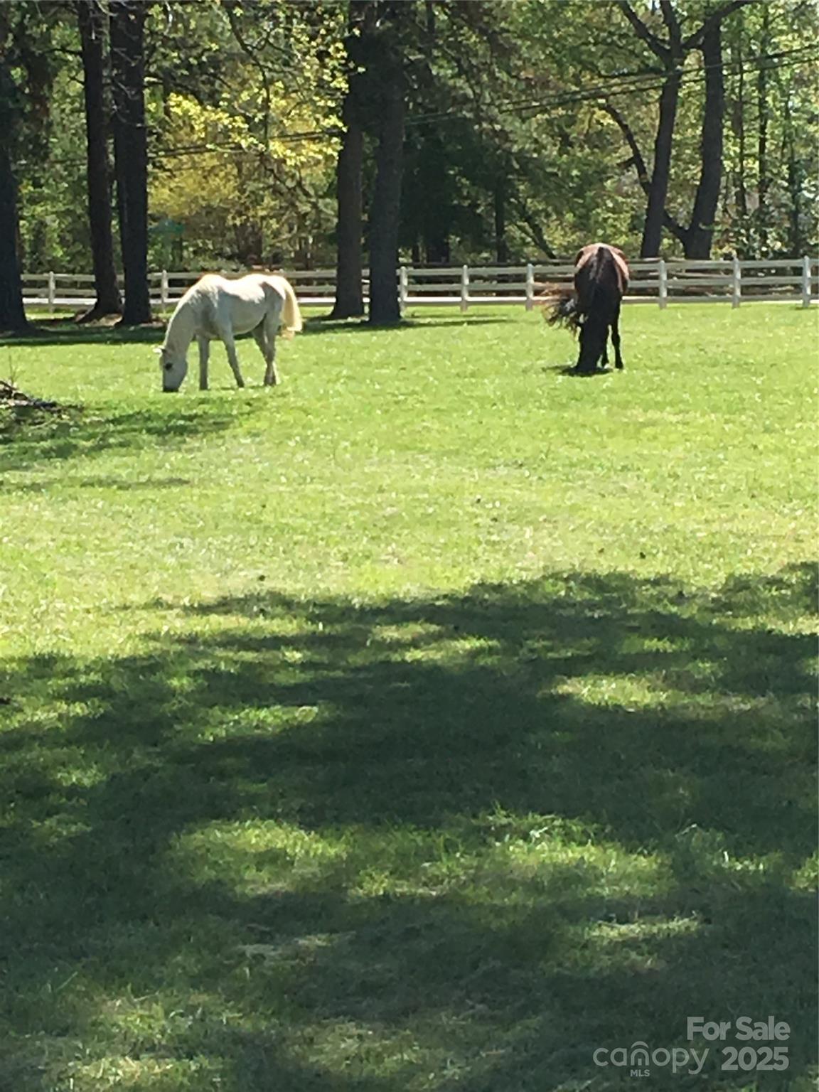 11215 Idlewild Road Matthews, NC 28105 - Photo 48 of 48 a house view with a play ground and trees