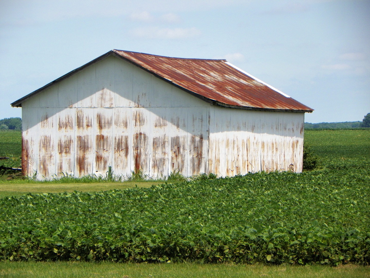 1360 Scully Road Dwight, IL 60420 - Photo 20 of 31 Gallery Image 20